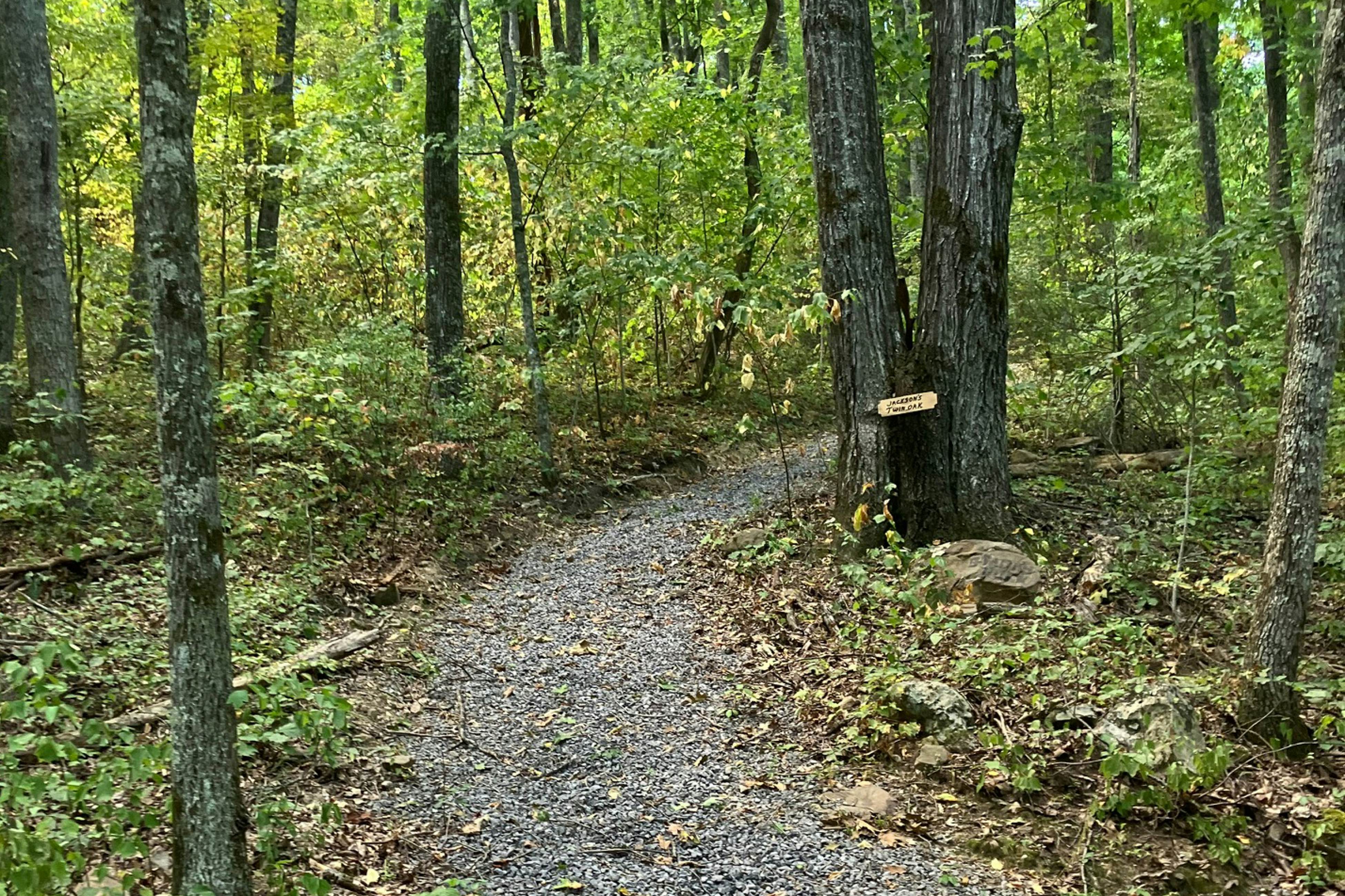 Hillside cabin with hot tub, fireplace, & air hockey + Free Attraction Tickets