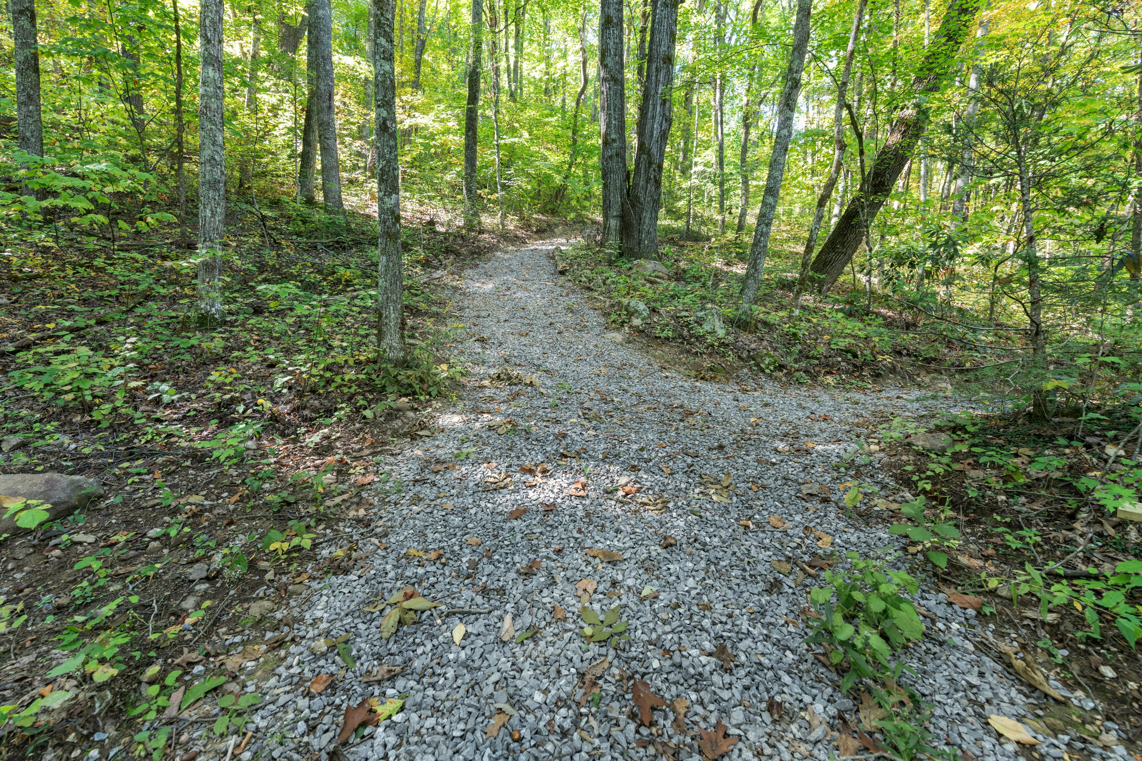 Hillside cabin with hot tub, fireplace, & air hockey + Free Attraction Tickets