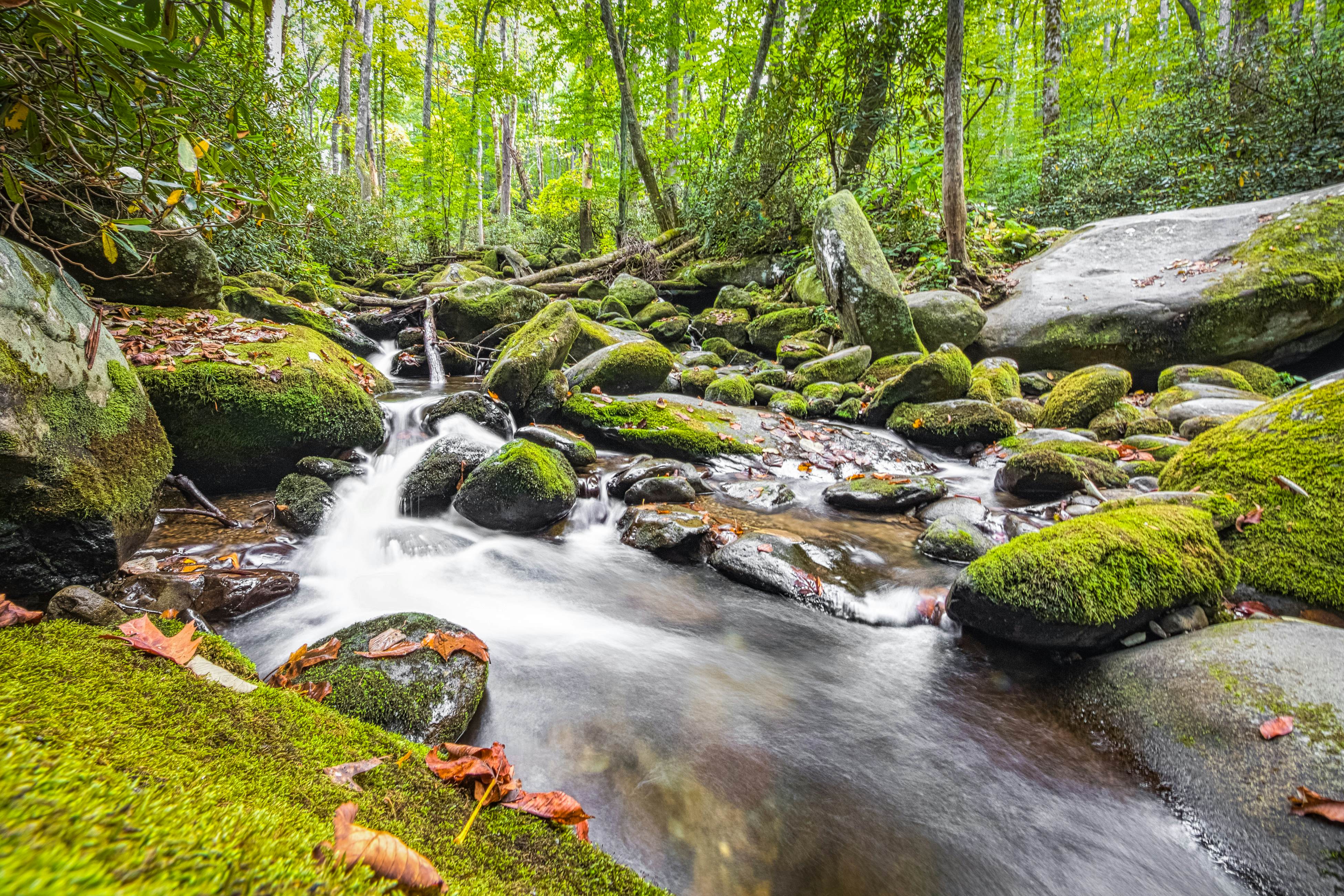 Relaxing Creekside Condo, Sleeps 8・Jetted Tub・Gym