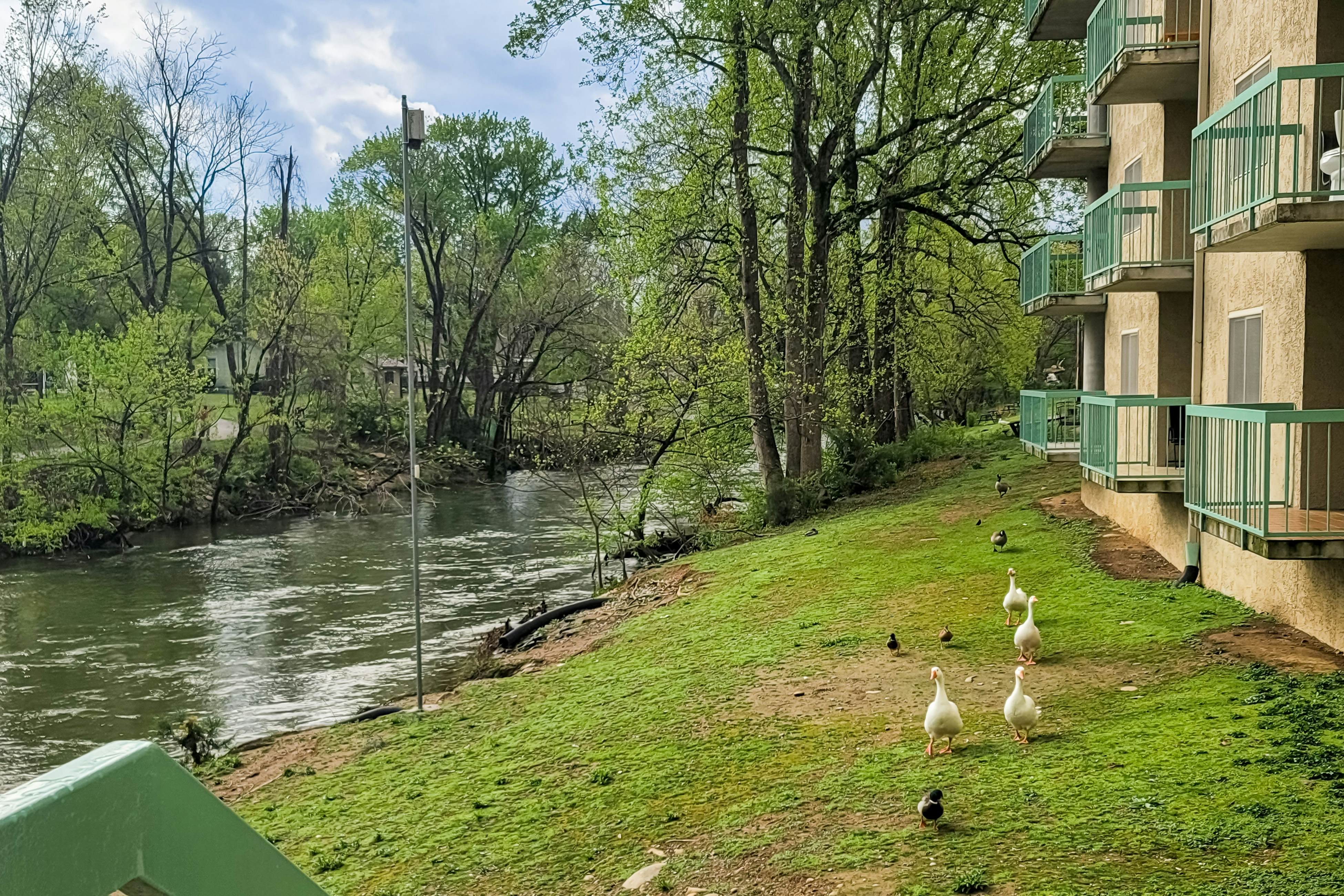 Delightful condo with shared pool, balcony & picnic area