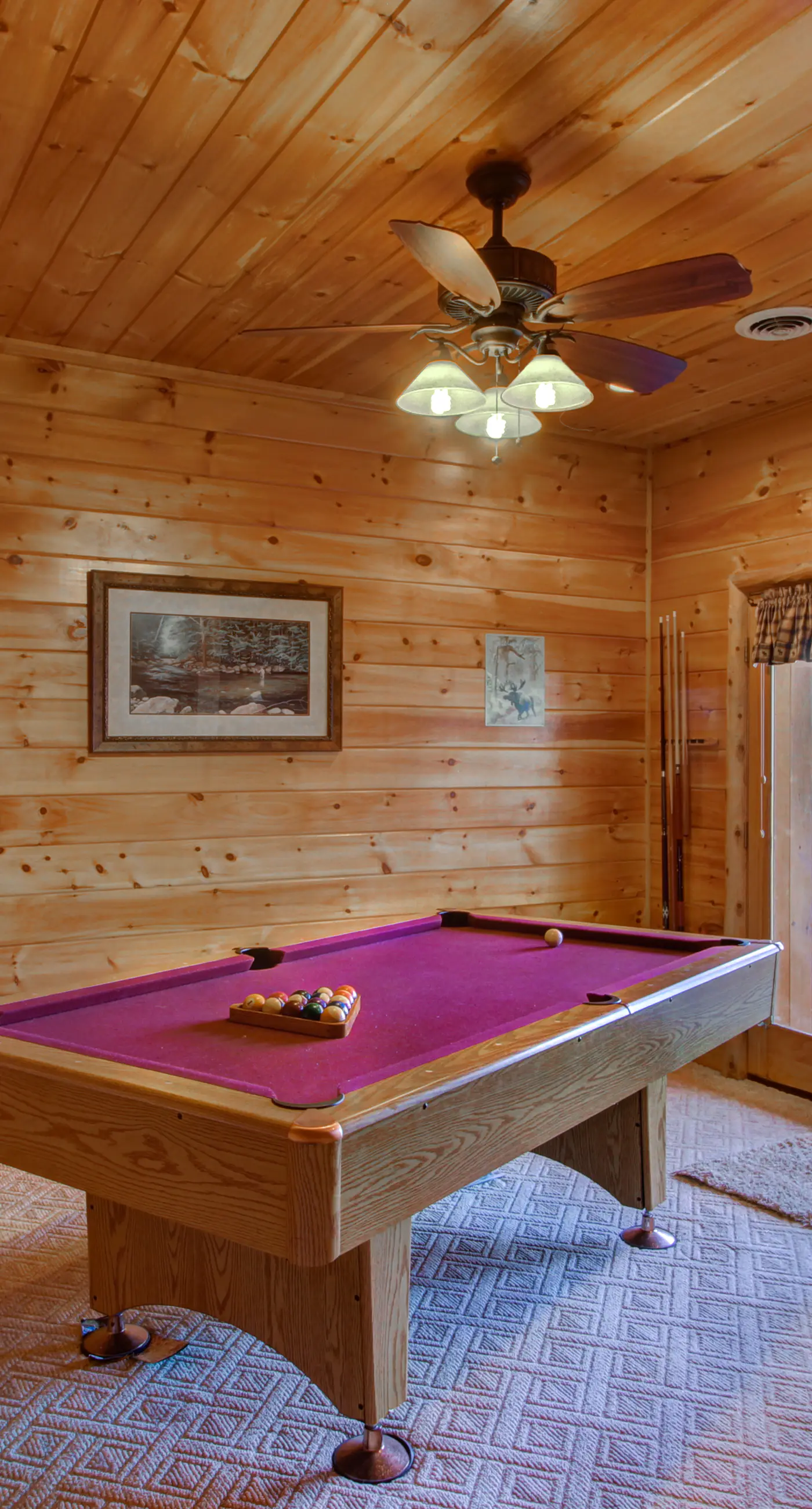 Pet Friendly Near Dollywood Cabin・Hot tub・Views