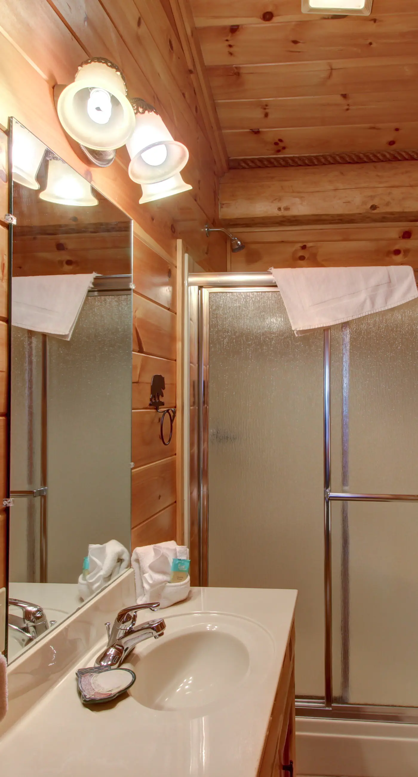 Pet Friendly Near Dollywood Cabin・Hot tub・Views