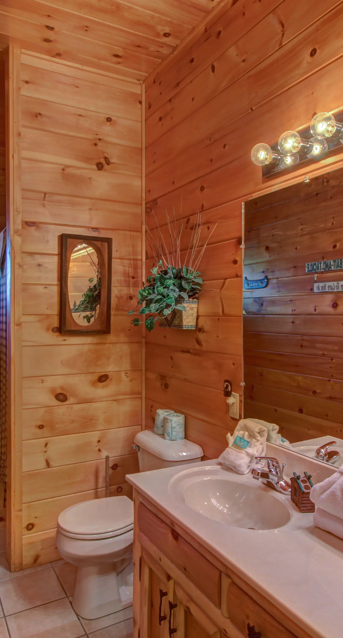 Pet Friendly Near Dollywood Cabin・Hot tub・Views