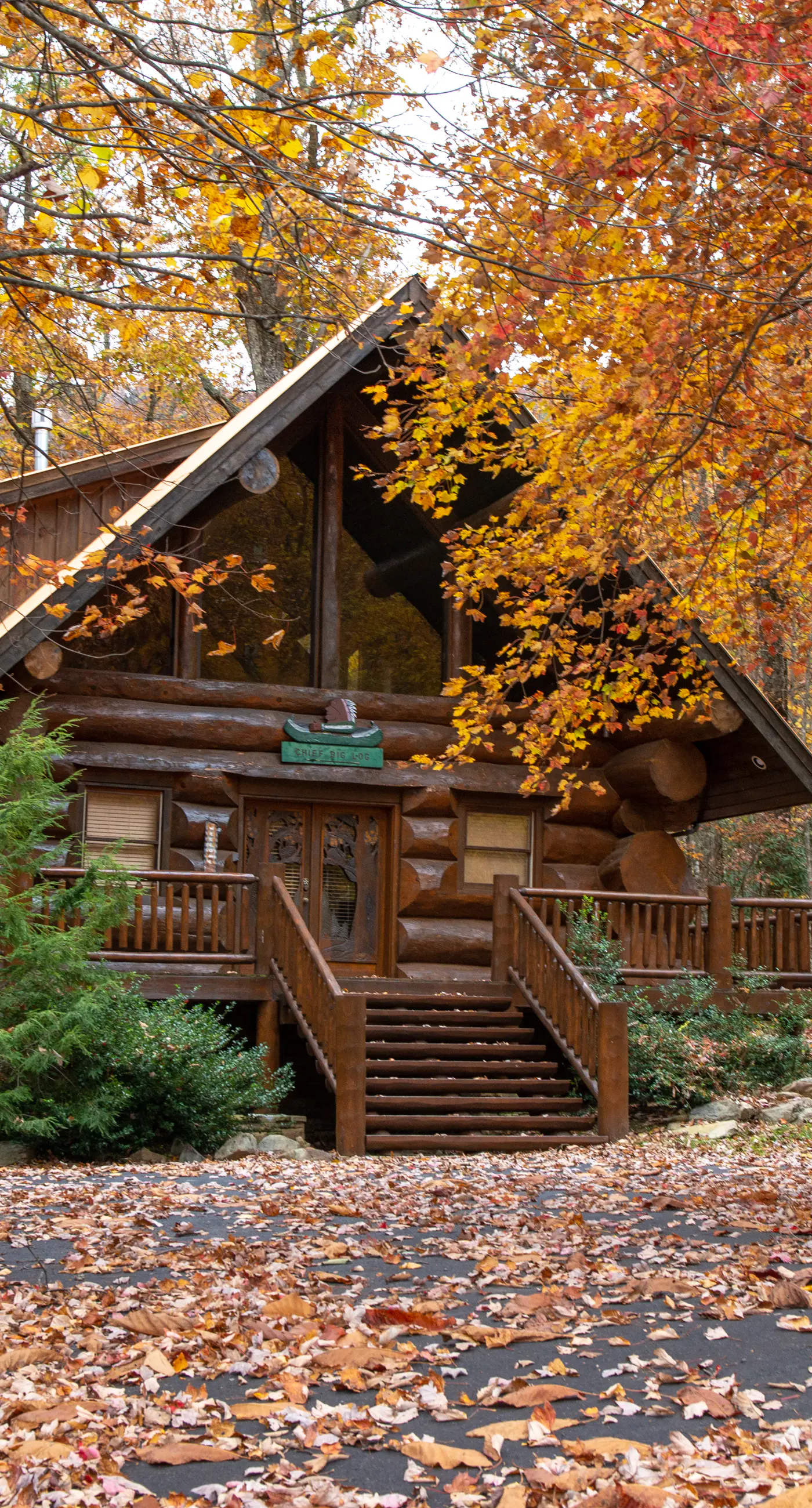 Pet Friendly Near Dollywood Cabin・Hot tub・Views