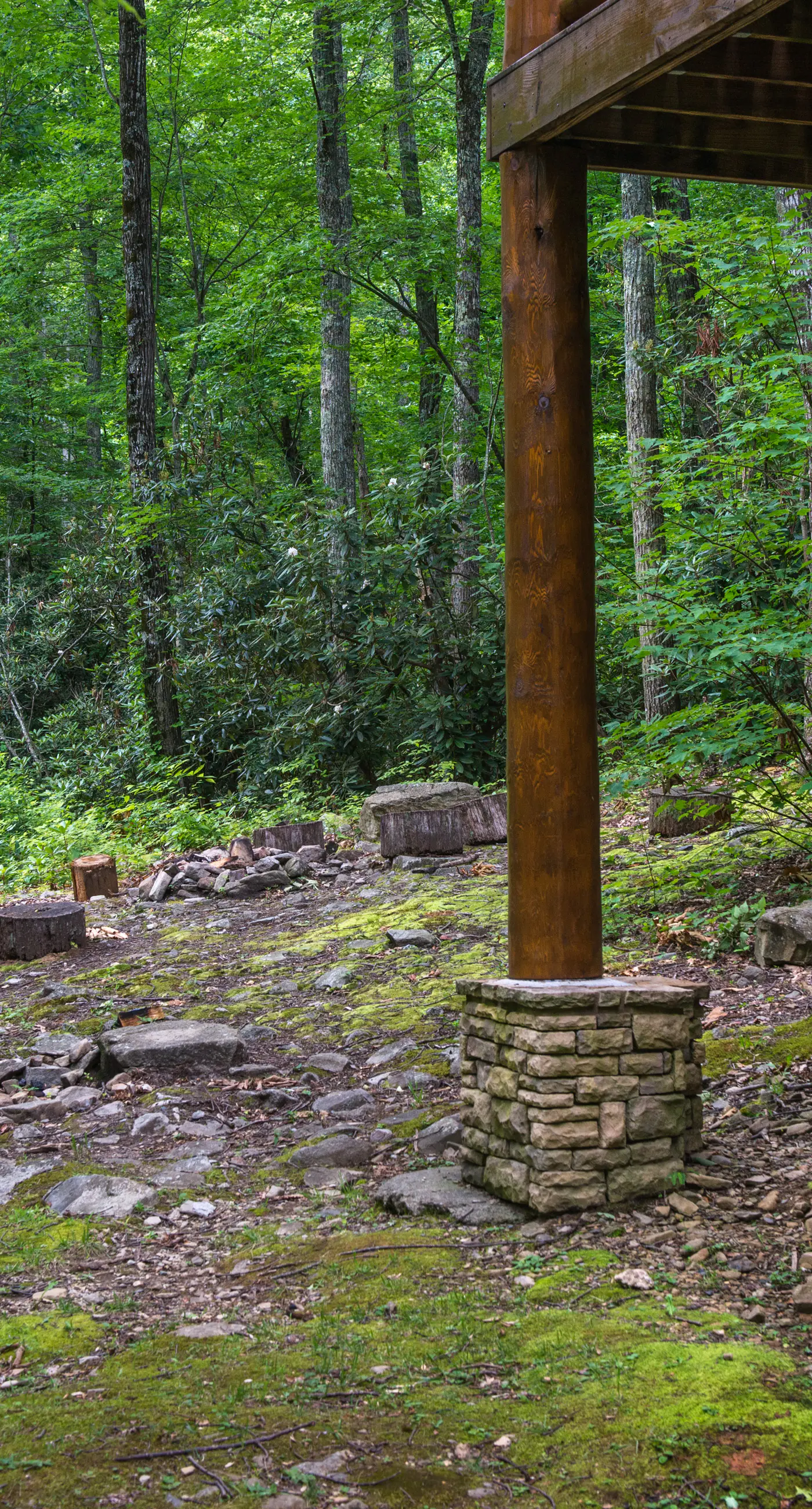 Pet Friendly Near Dollywood Cabin・Hot tub・Views
