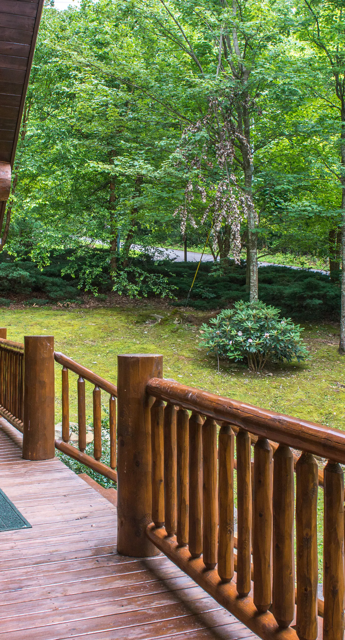 Pet Friendly Near Dollywood Cabin・Hot tub・Views