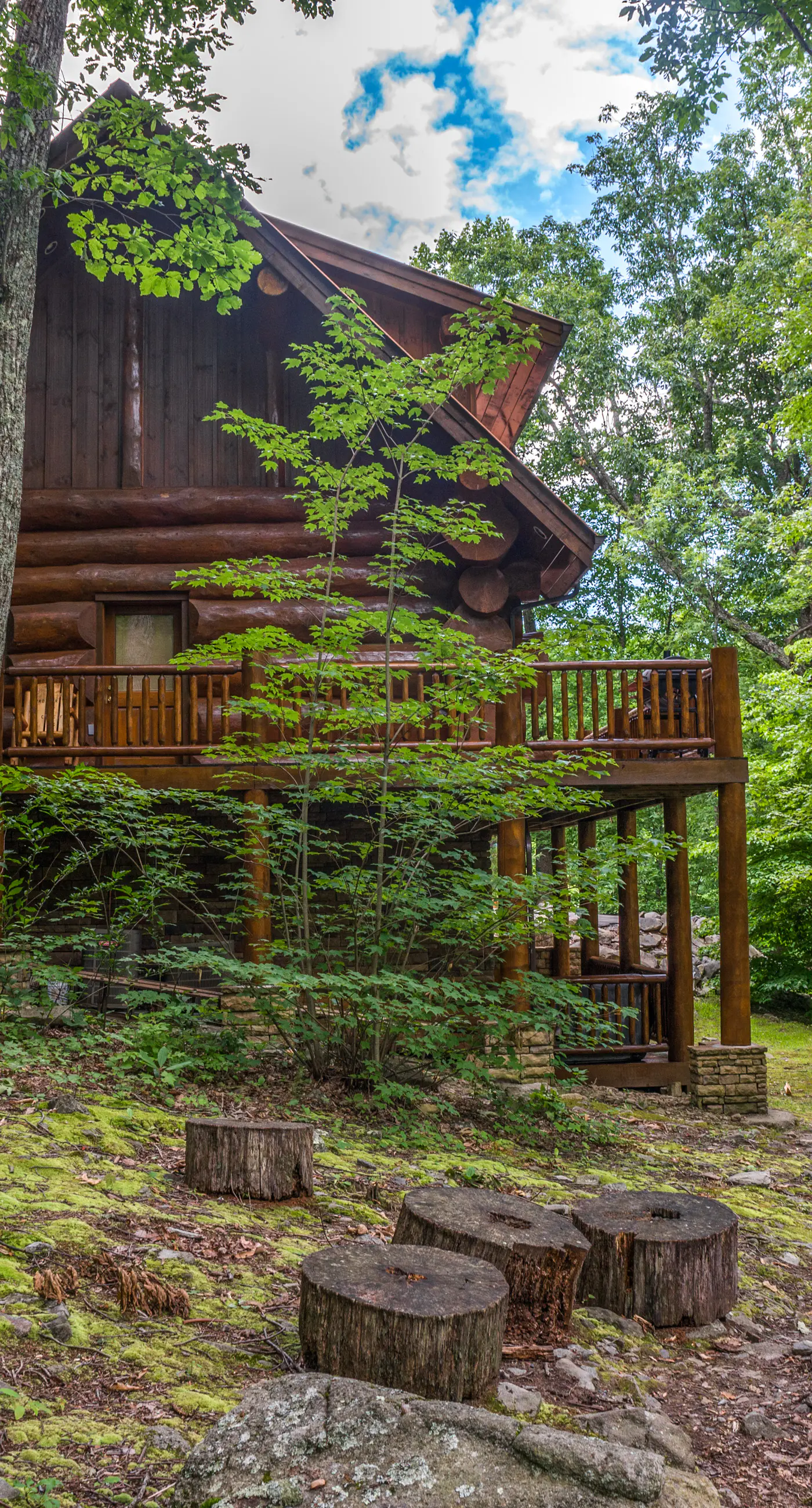 Pet Friendly Near Dollywood Cabin・Hot tub・Views