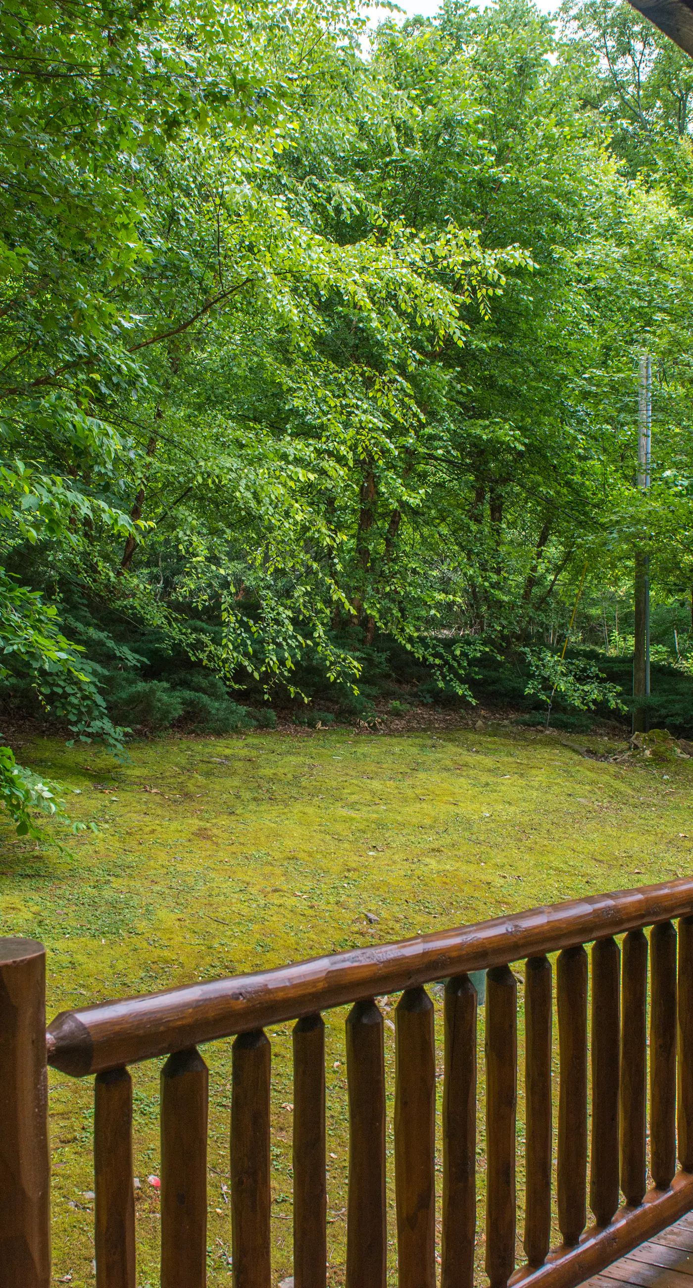 Pet Friendly Near Dollywood Cabin・Hot tub・Views