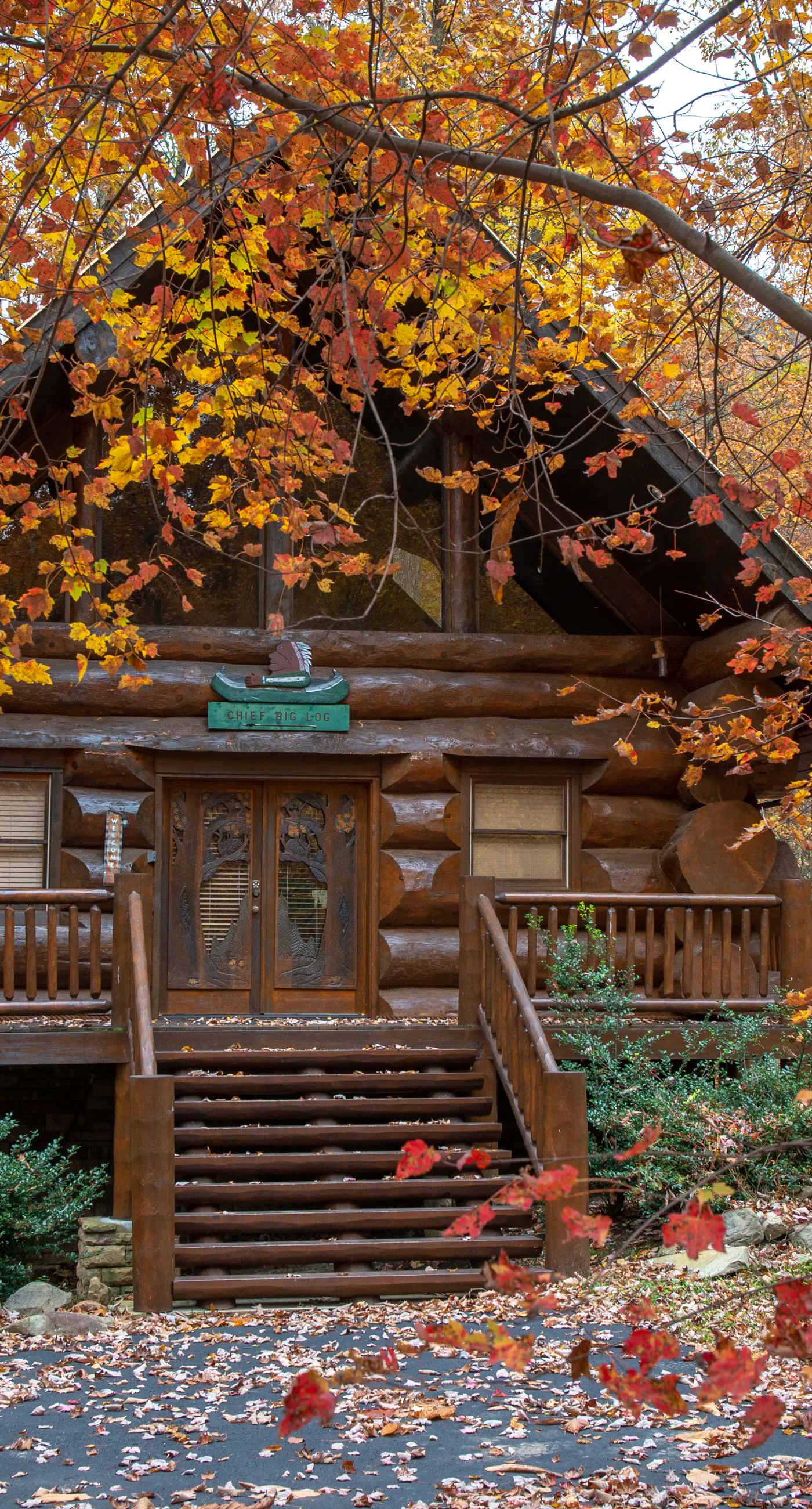 Pet Friendly Near Dollywood Cabin・Hot tub・Views
