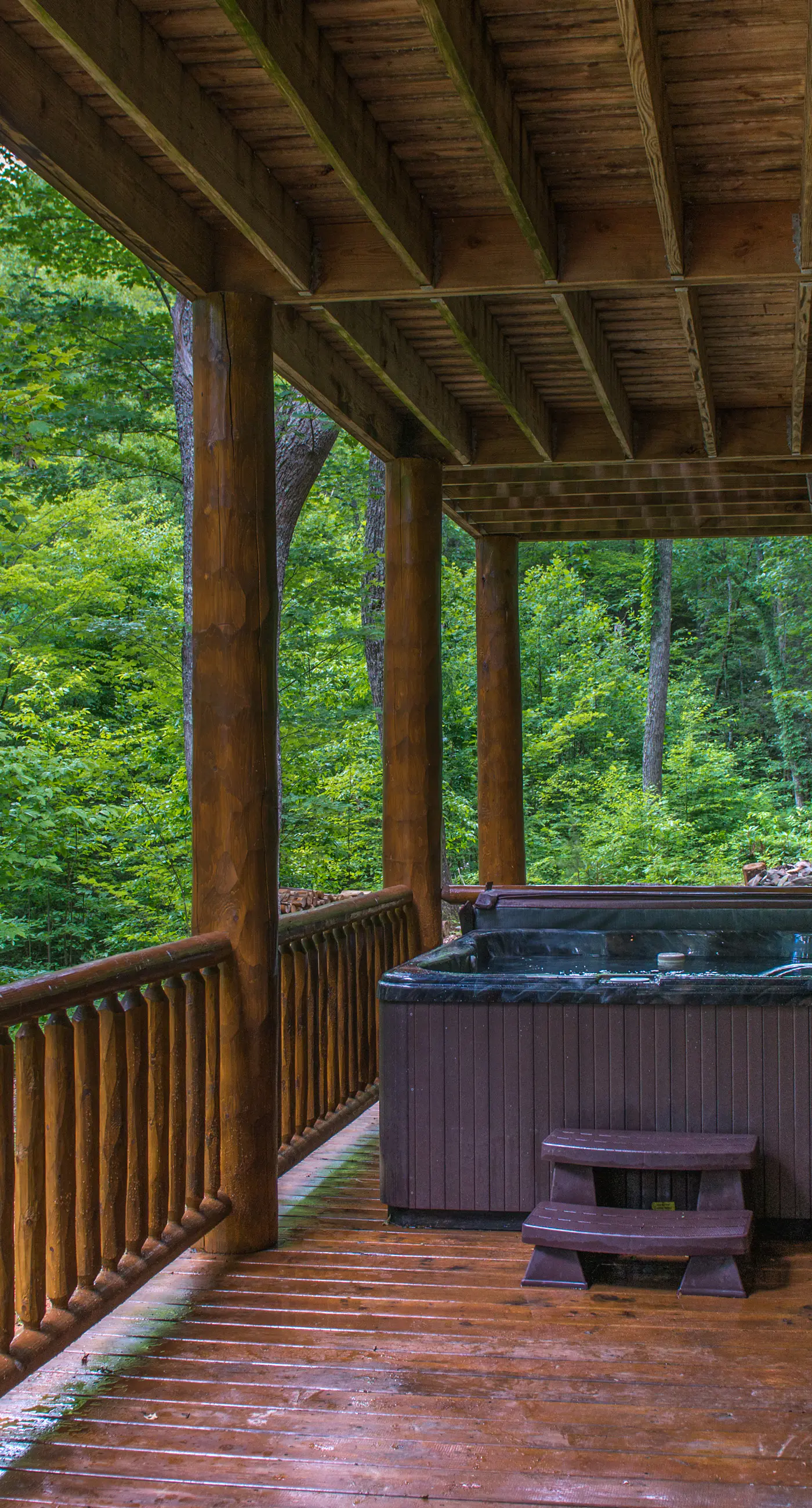 Pet Friendly Near Dollywood Cabin・Hot tub・Views