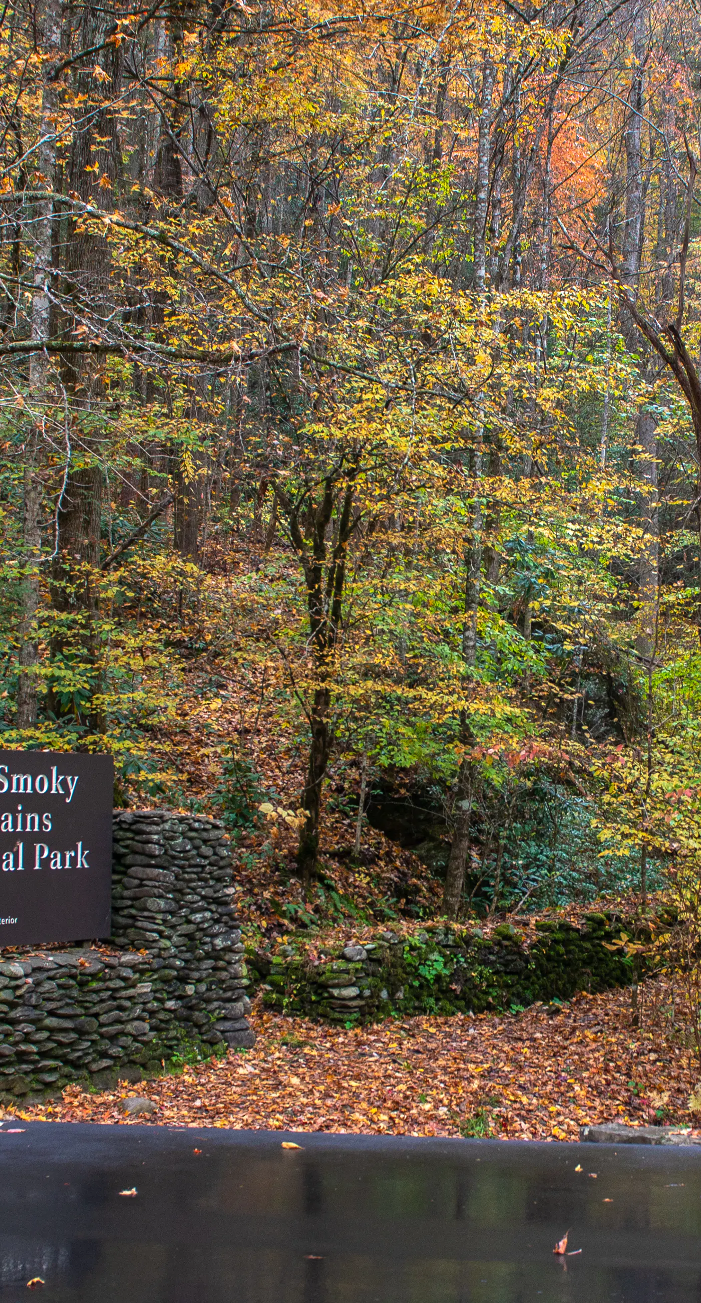 Pet Friendly Near Dollywood Cabin・Hot tub・Views