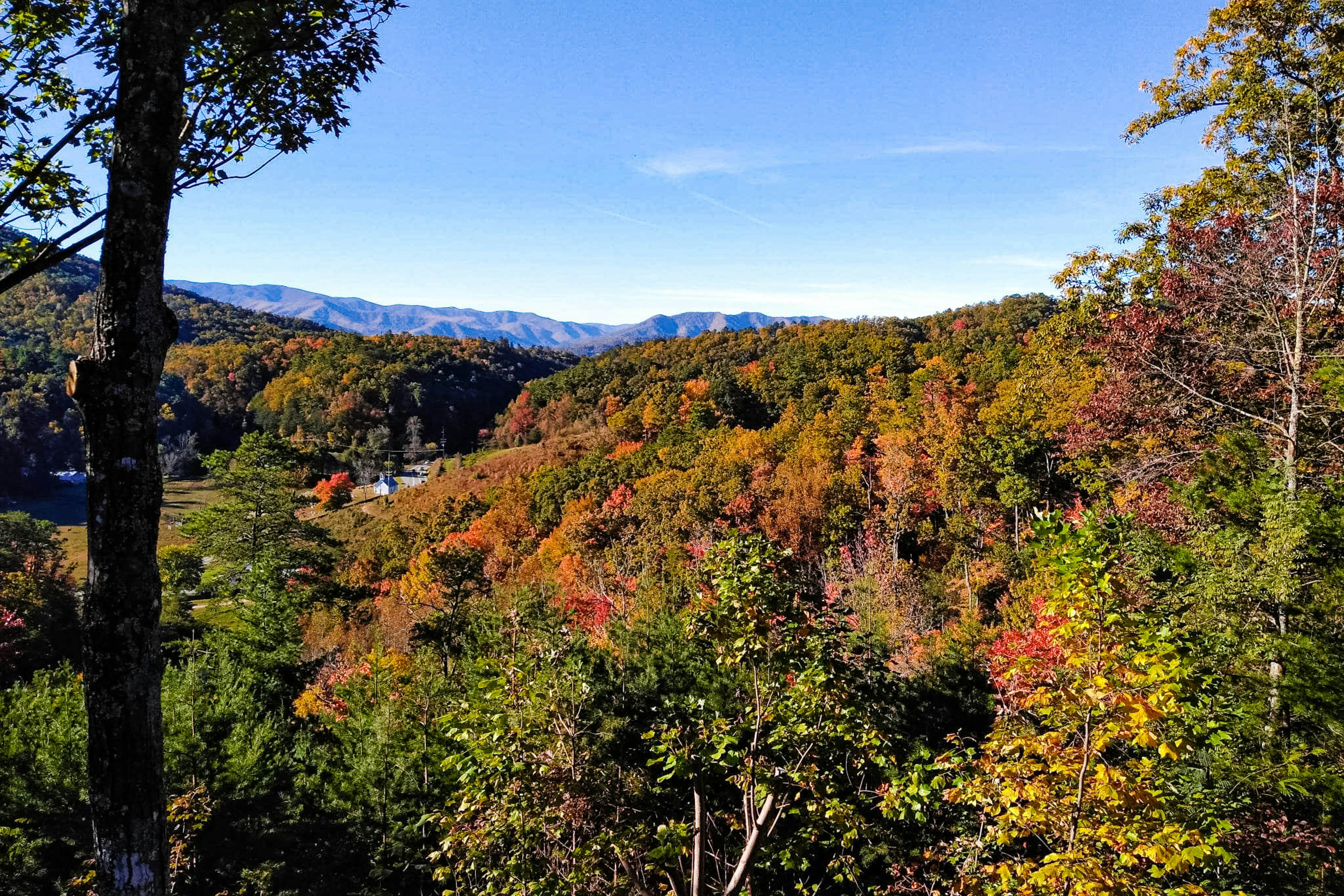 Mtn View Cabin, Sleeps 4・Mins from National Park