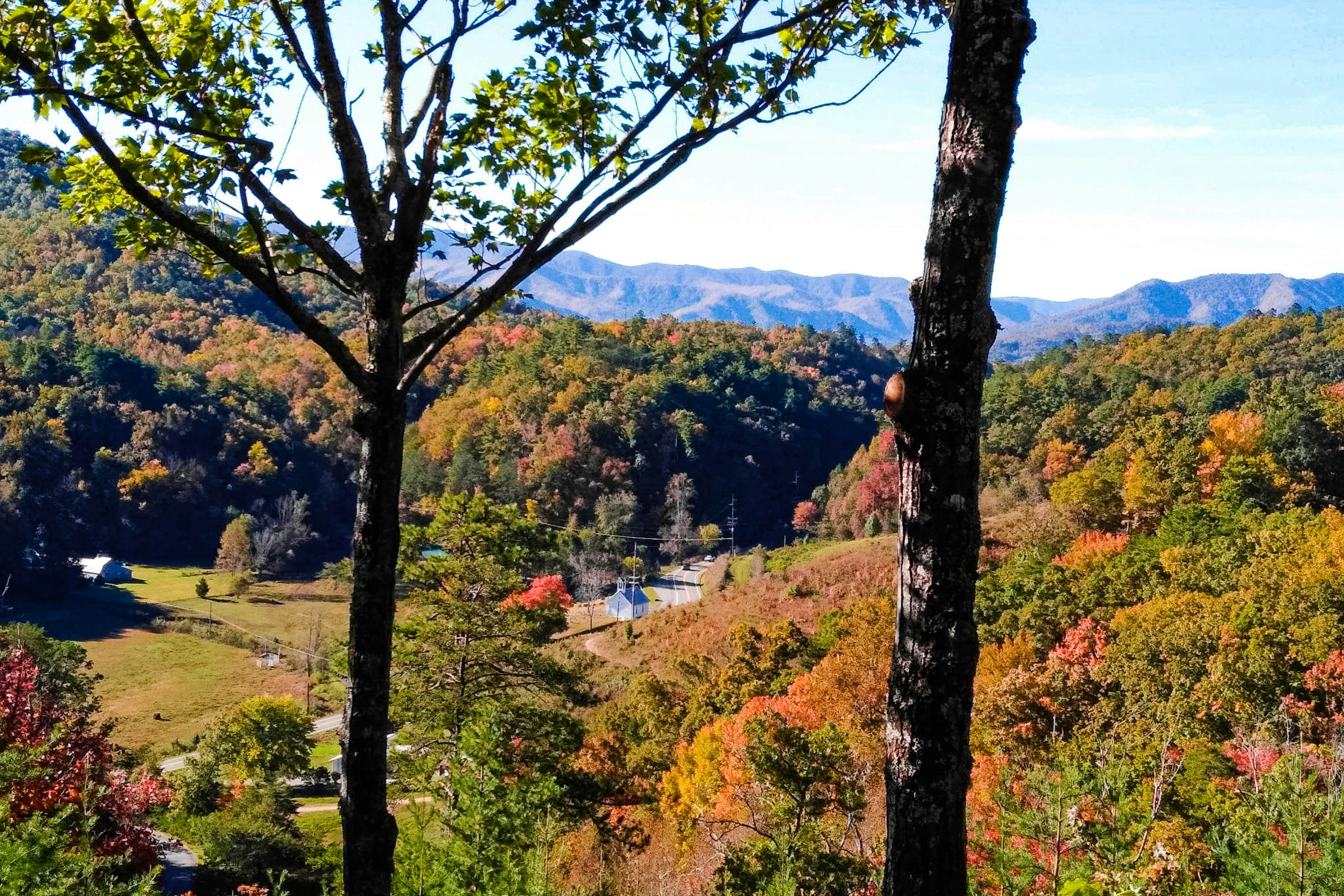 Mtn View Cabin, Sleeps 4・Mins from National Park