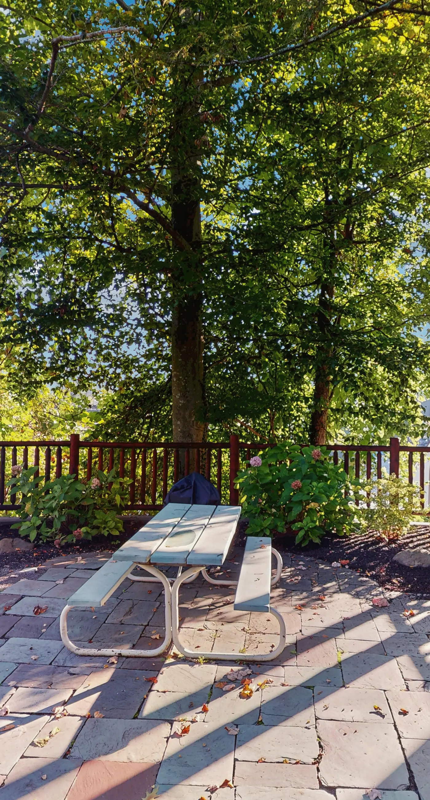 Centrally Located Cabin, Sleeps 6・Pool Table・Views
