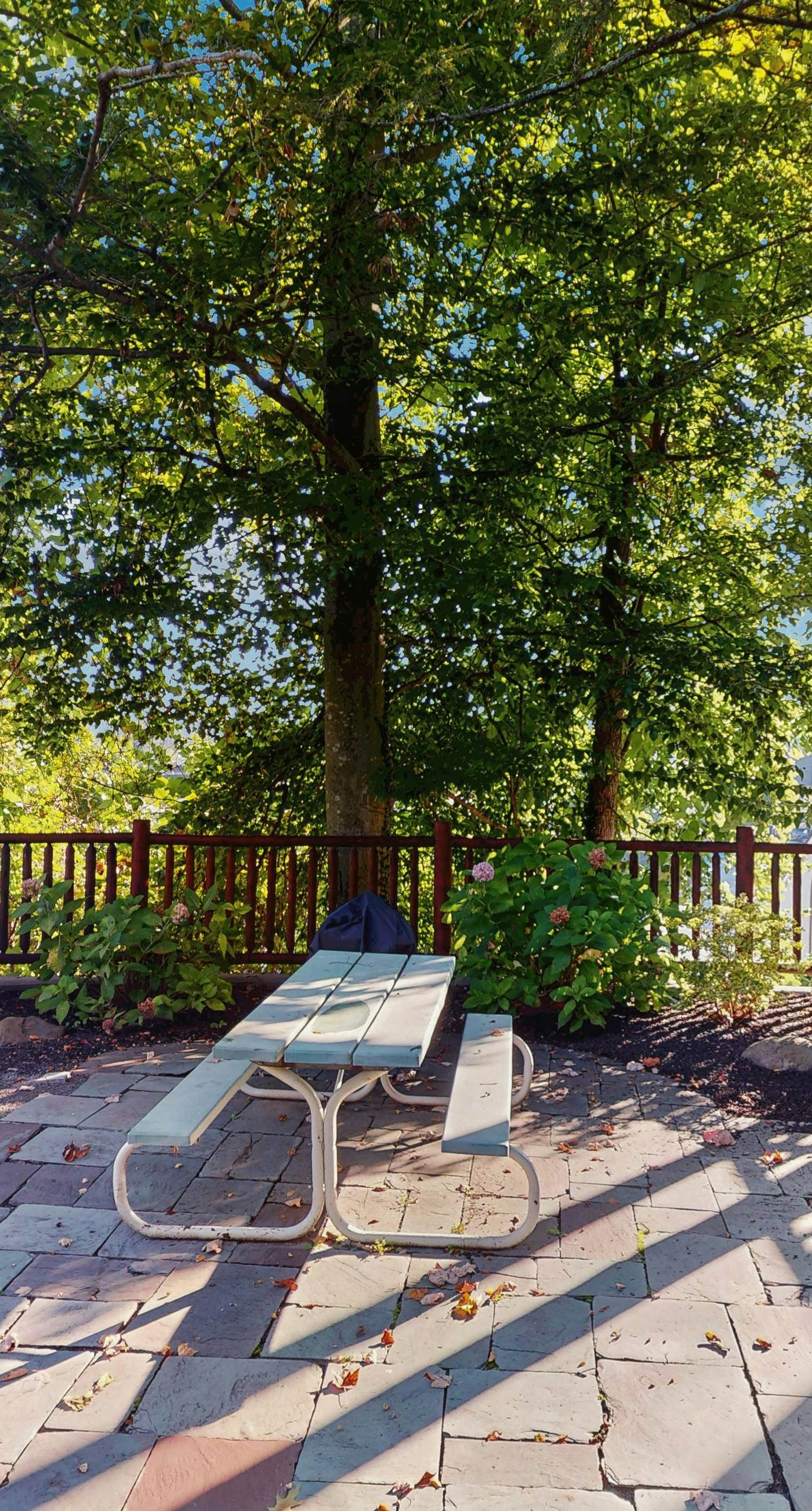 Centrally Located Cabin, Sleeps 6・Pool Table・Views