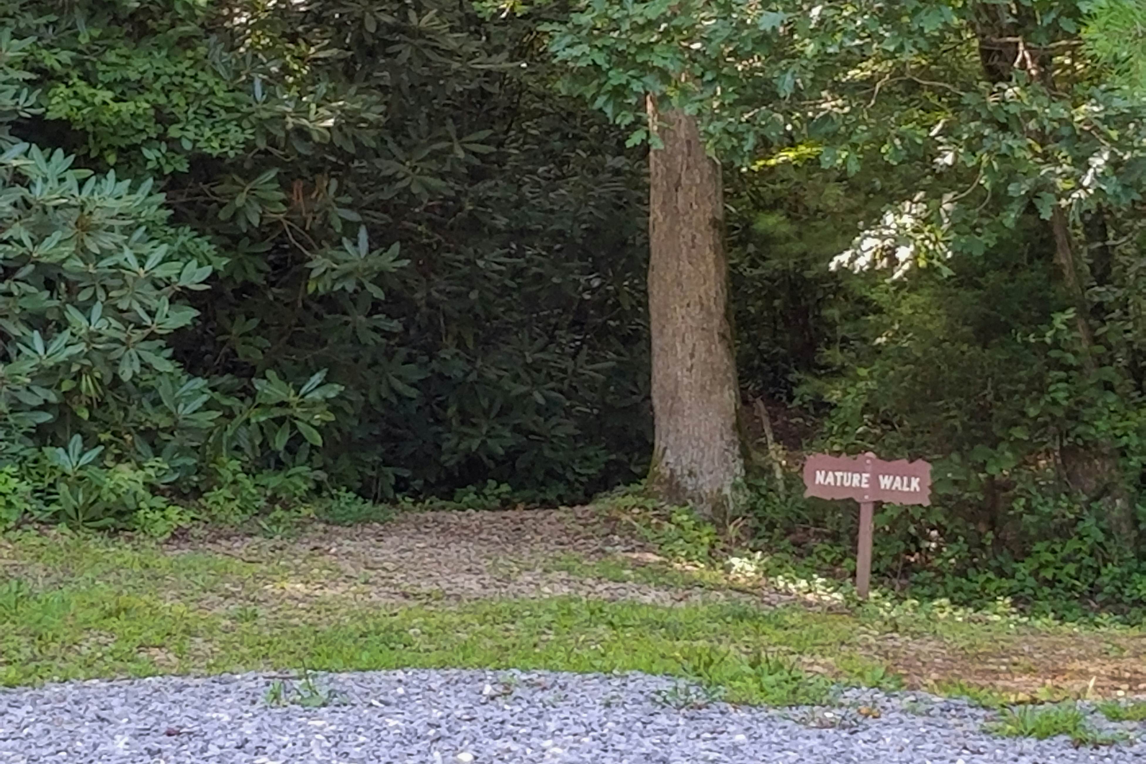 Gorgeous Log House, Sleeps 12・Hot Tub・Game Room