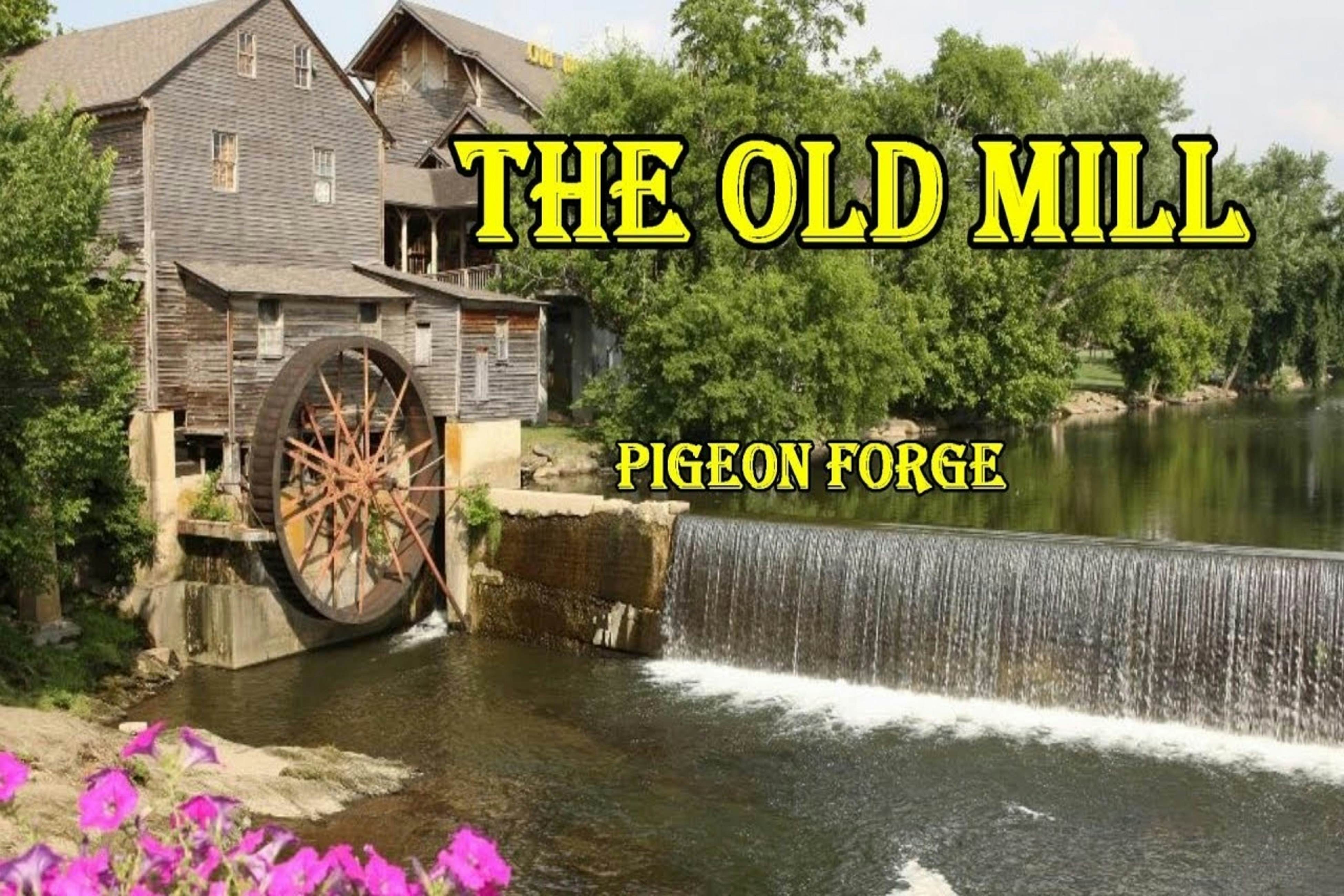 Mountainside cabin w/private hot tub, incredible views & Free Attraction Tickets