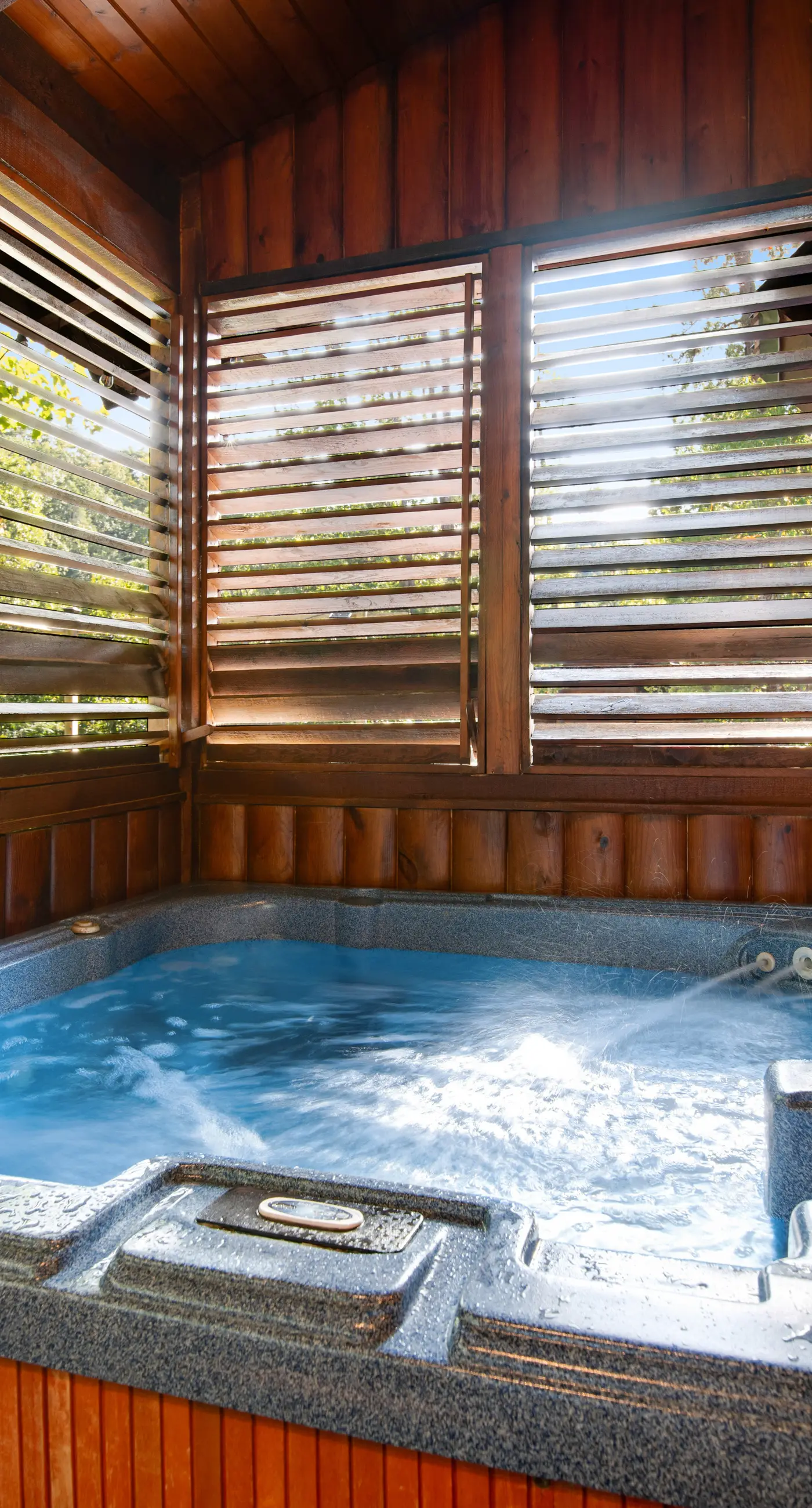 Forested Hideaway, Sleeps 14, Hot Tub, Pool Access