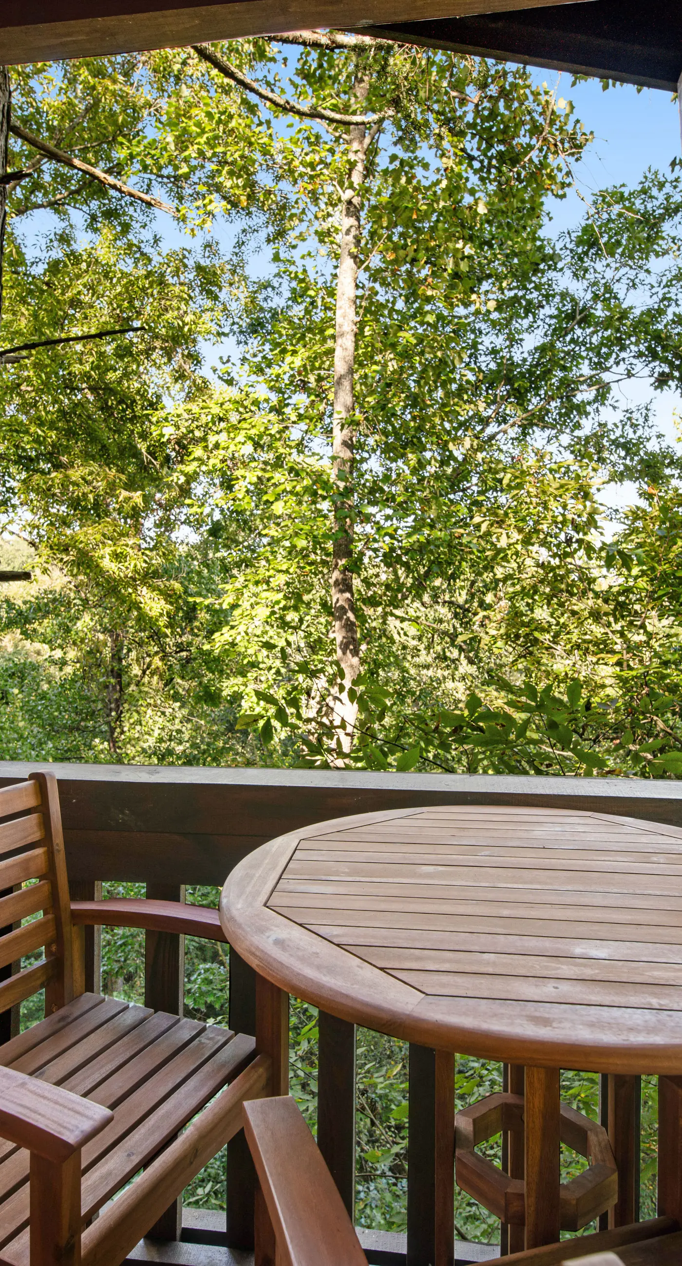 Forested Hideaway, Sleeps 14, Hot Tub, Pool Access