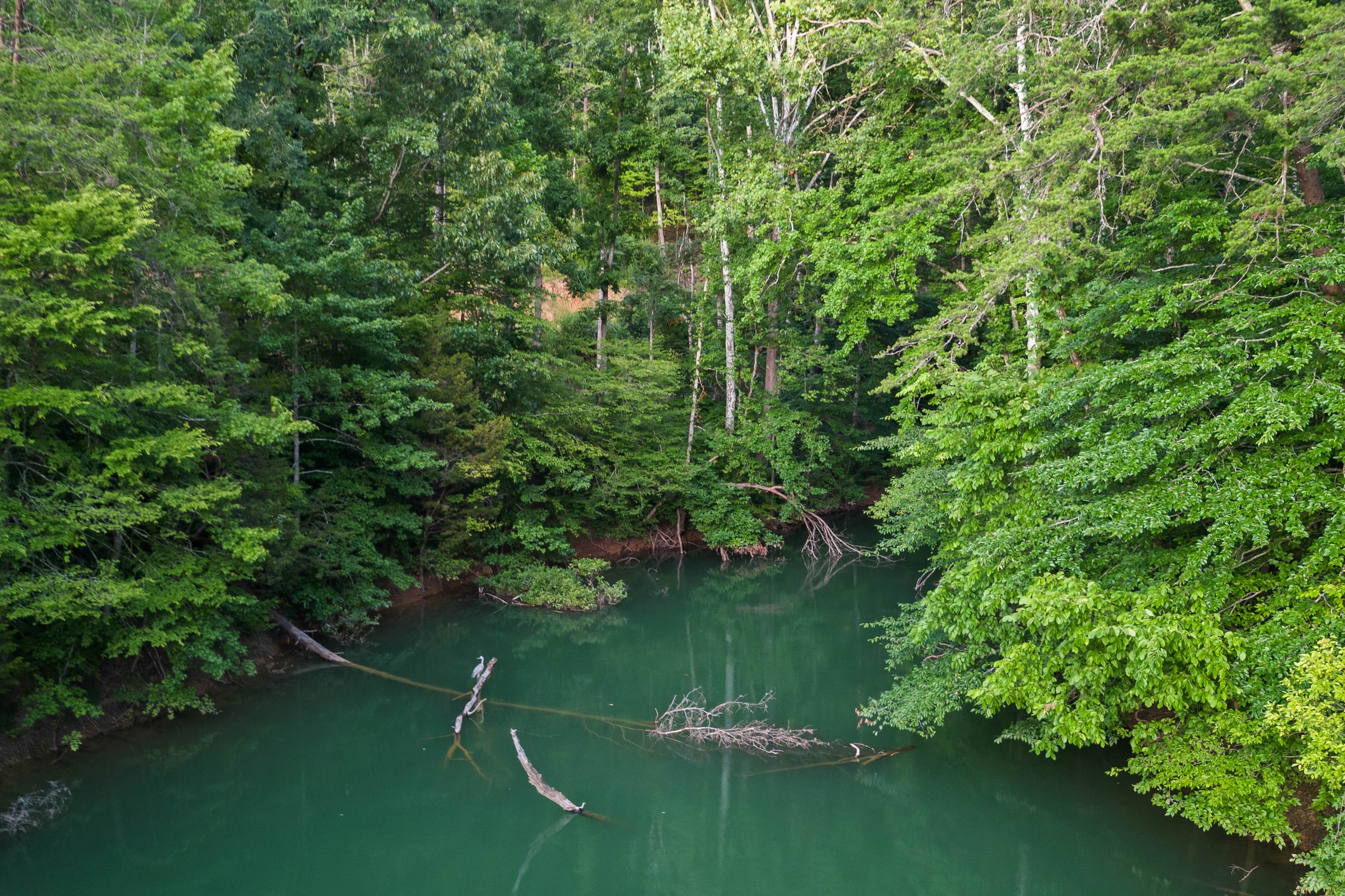 Lakefront Cabin, Sleeps 14・Private Pool・Game room