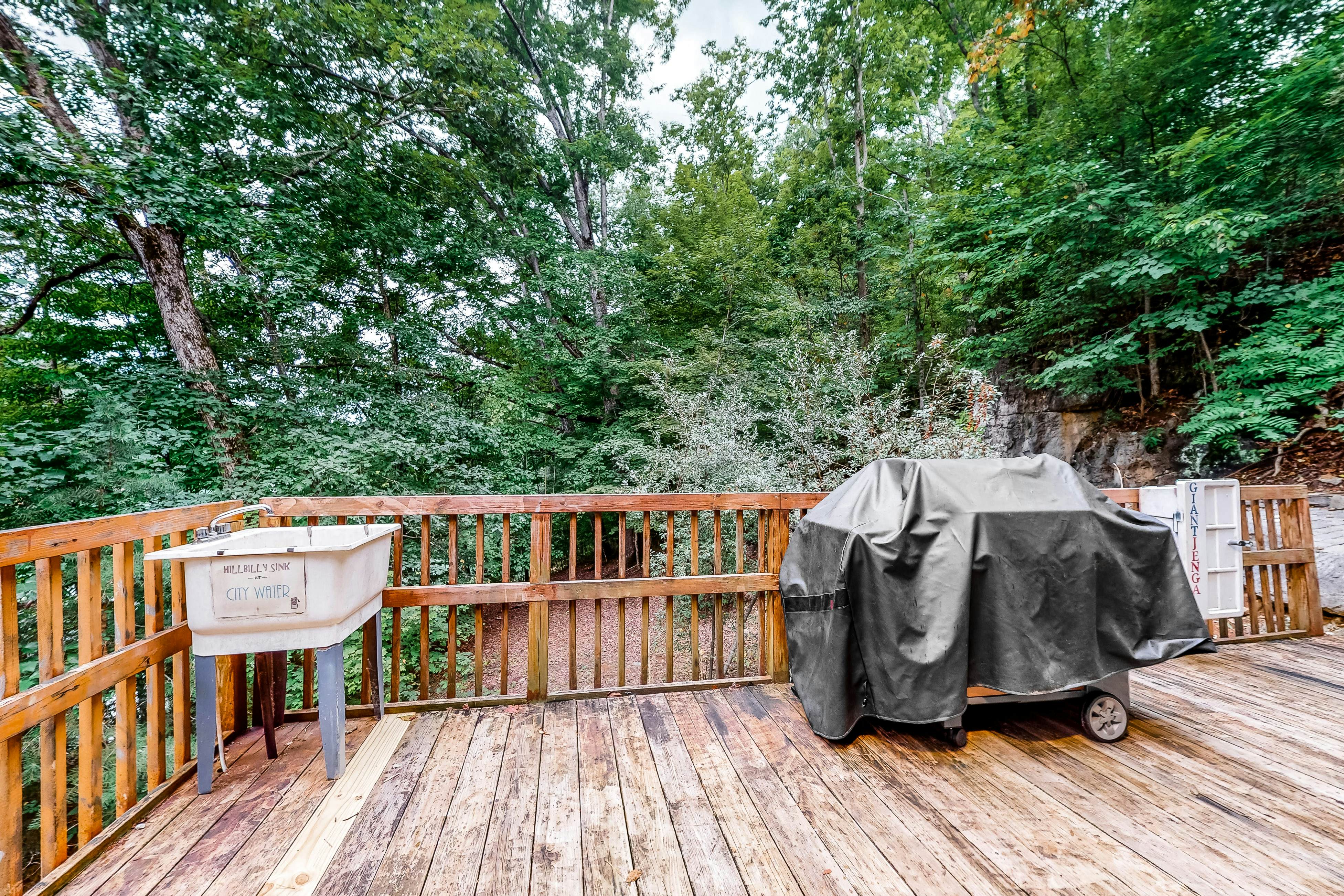Dog-Friendly Lakefront Cabin with Hot Tub & Dock