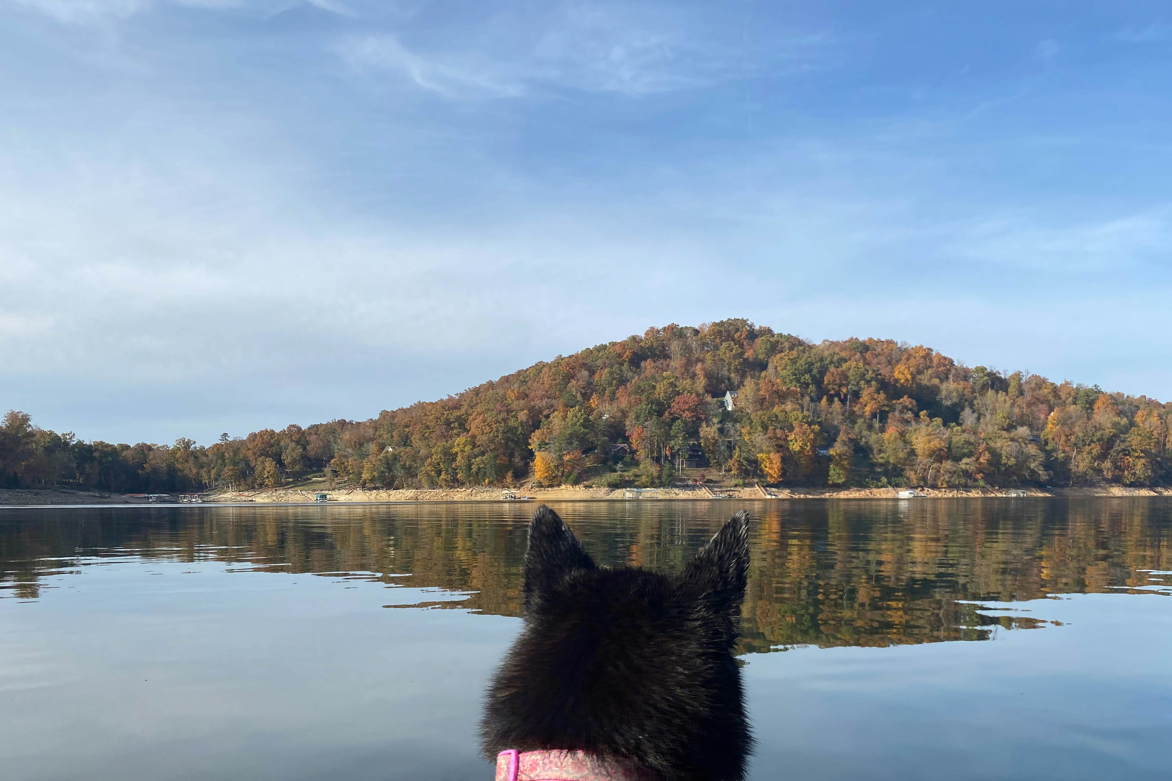 6BR Lakefront Retreat・Dock・Hot Tub・Boat Slips