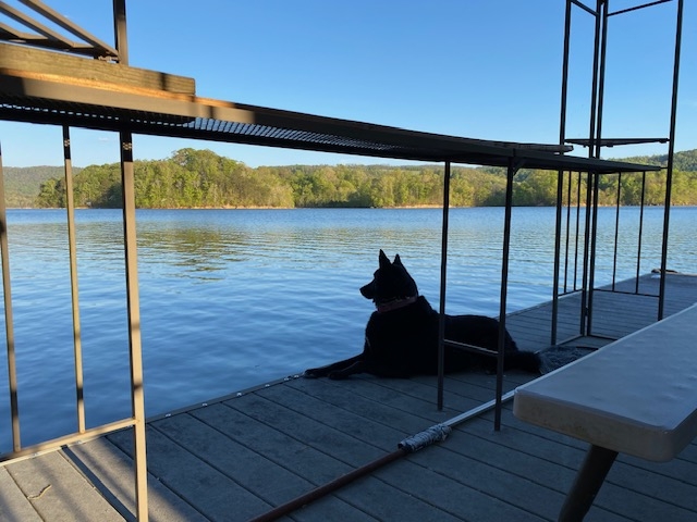 6BR Lakefront Retreat・Dock・Hot Tub・Boat Slips ・In Cove · Dog