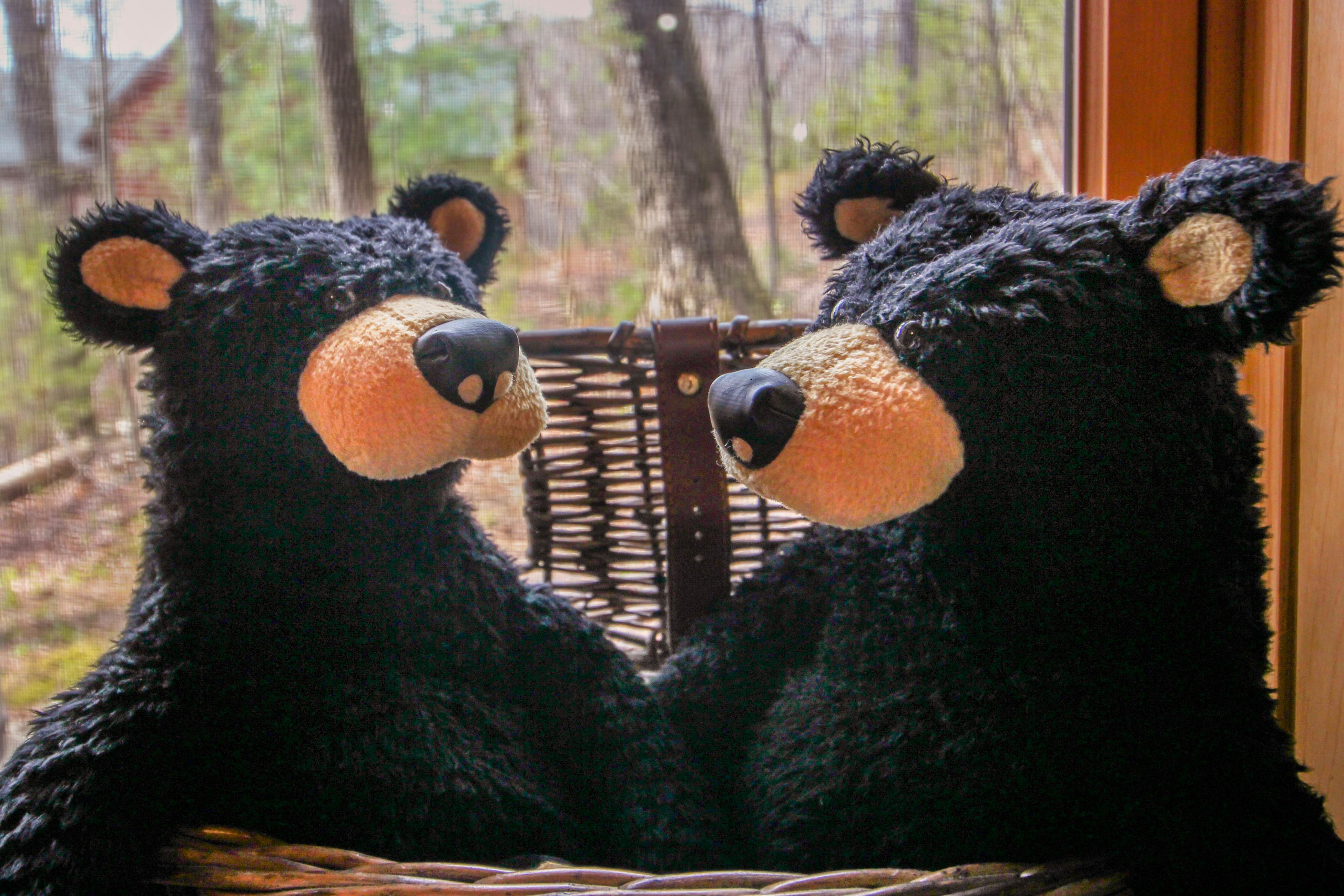 Cabin in the Woods w/Free Attraction Tickets & Shared Seasonal Pool/Fishing Pond