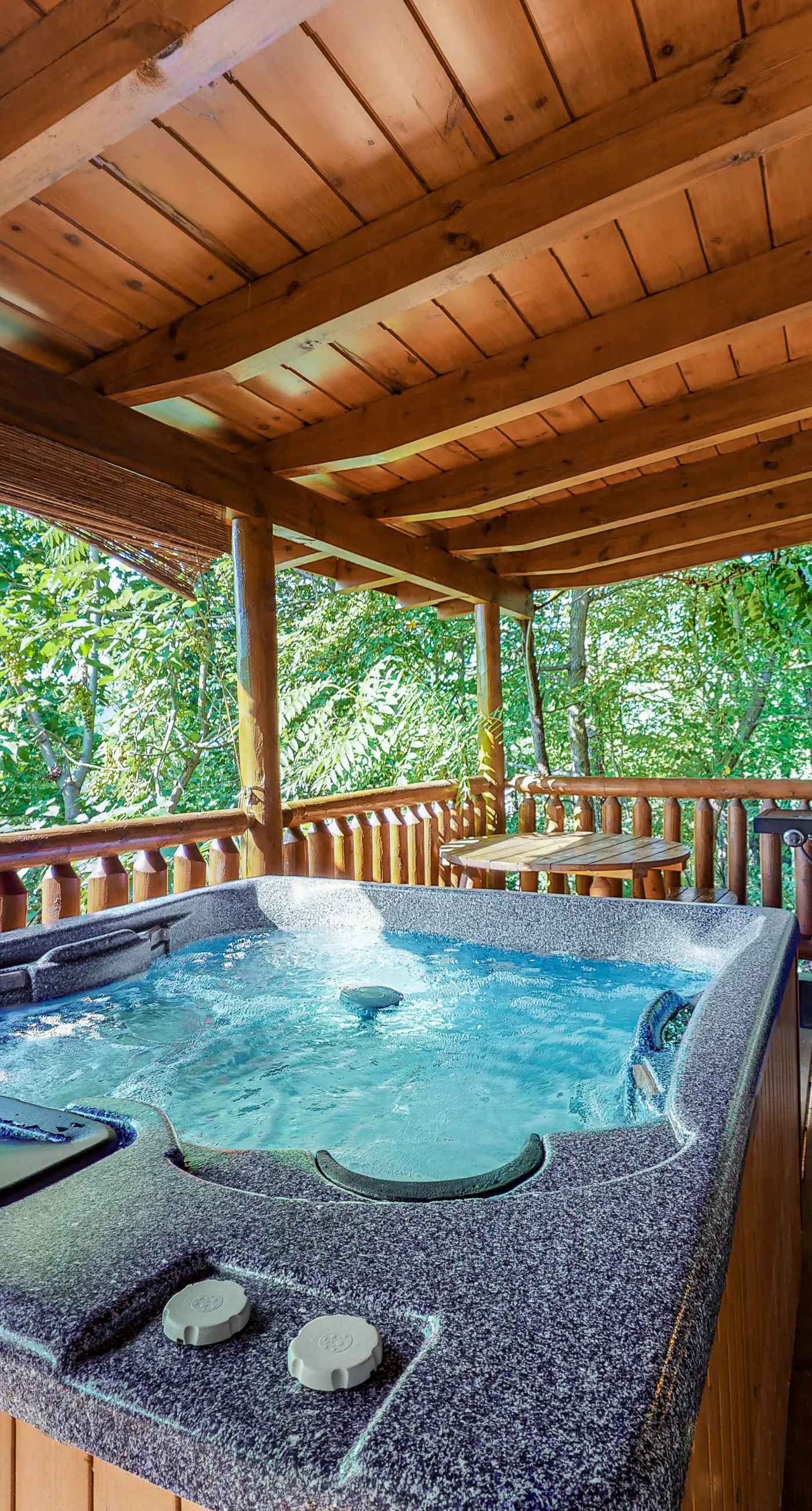 Dog Friendly Mtn Studio Cabin, Sleeps 2・Hot Tub