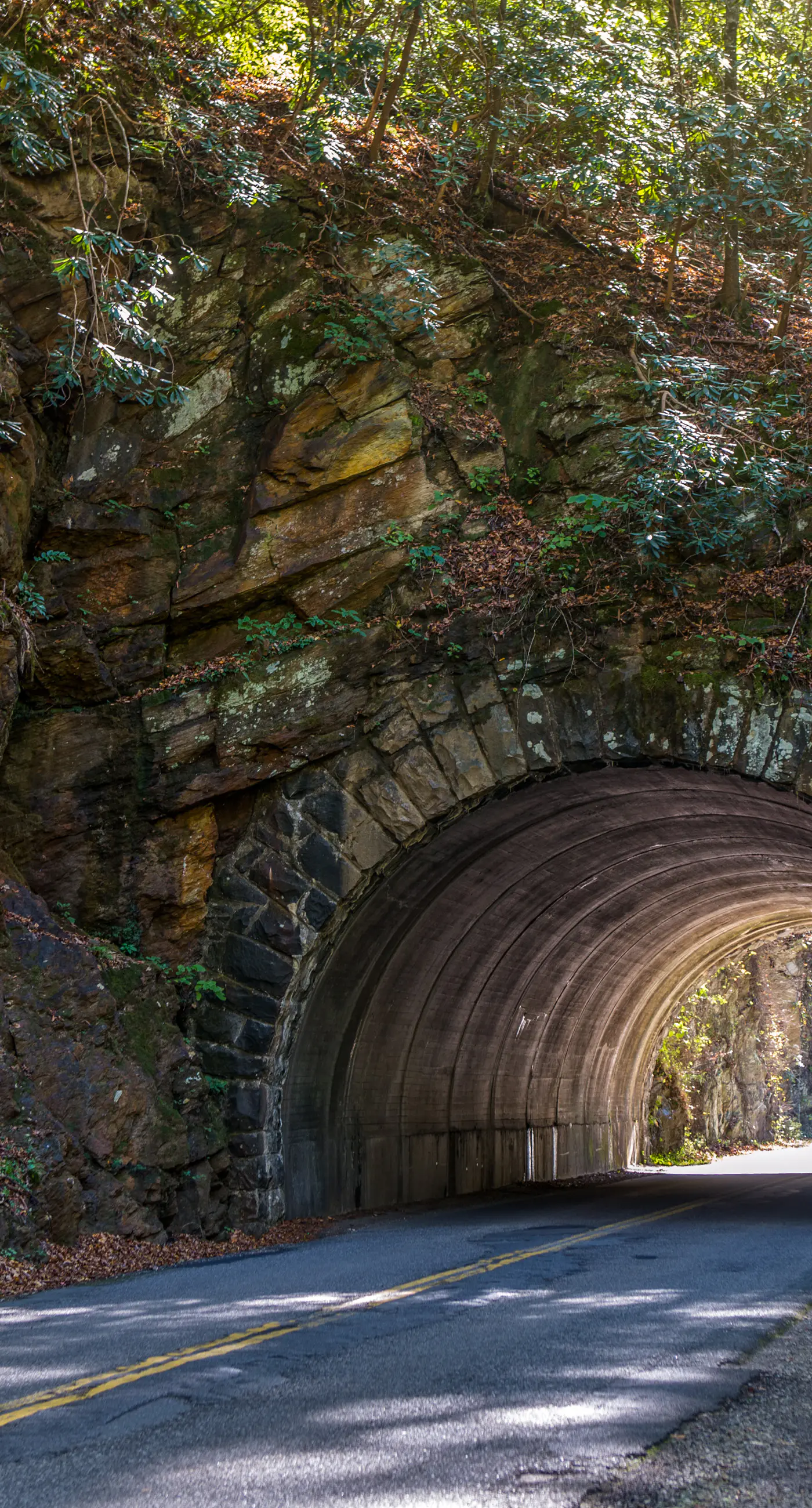 Dog Friendly Mtn Studio Cabin, Sleeps 2・Hot Tub