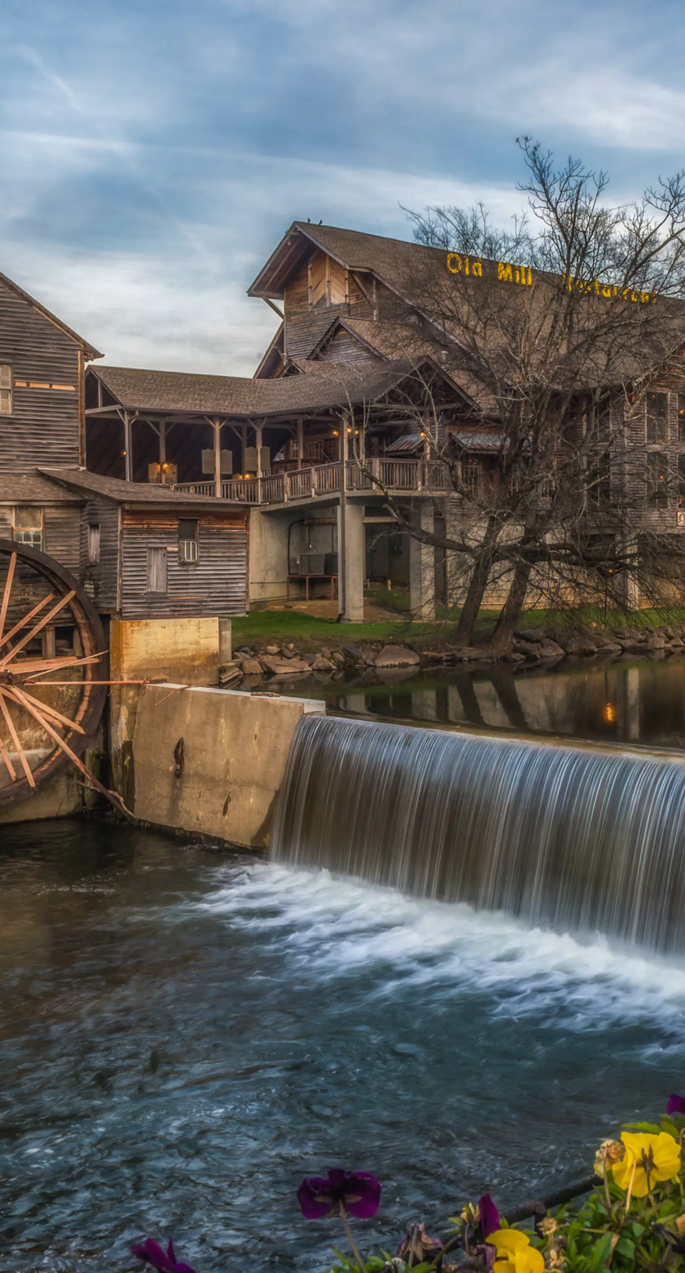 Dog Friendly Mtn Studio Cabin, Sleeps 2・Hot Tub