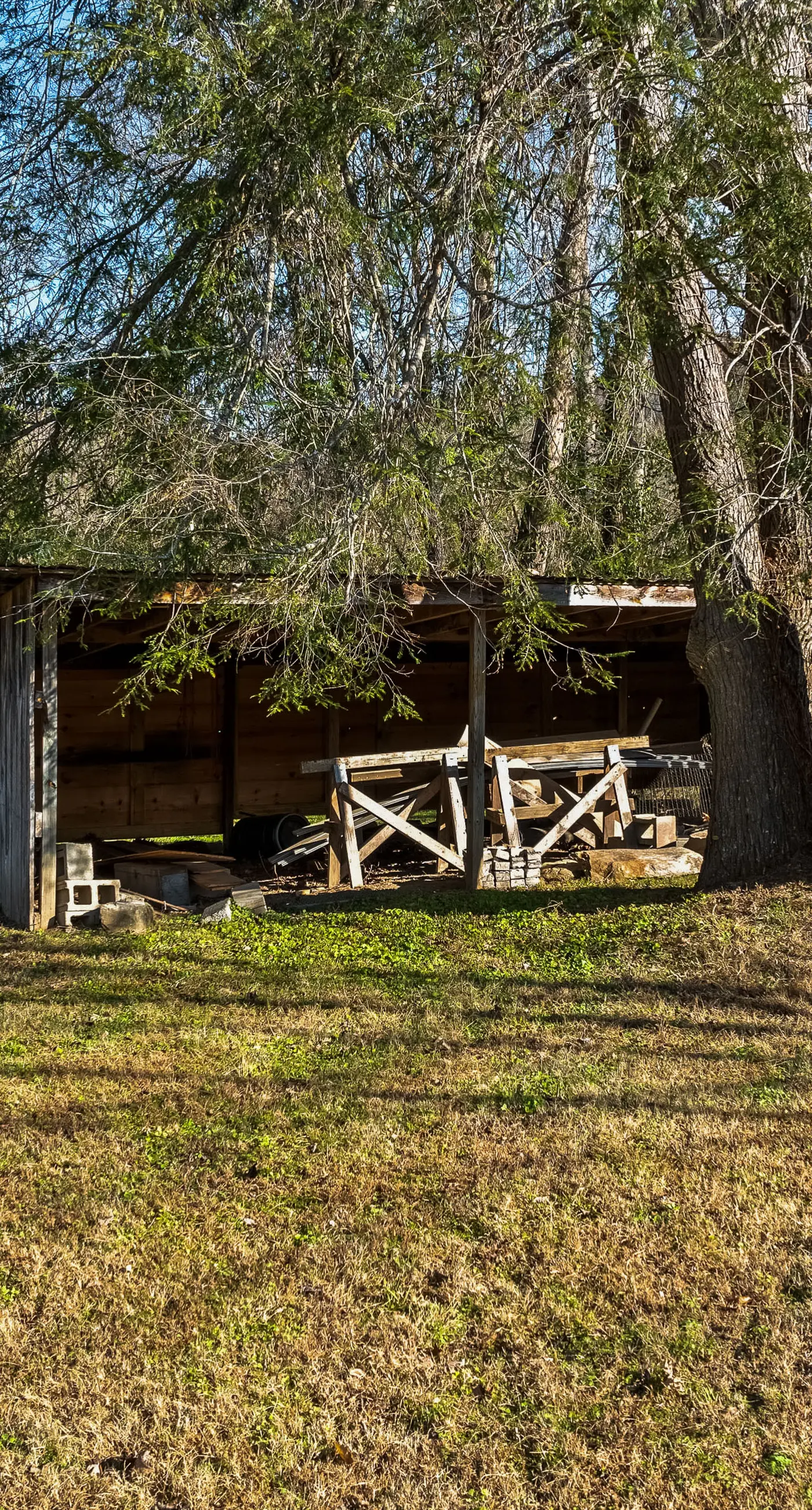 Townsend River Retreat・Lush Greenery・Grill