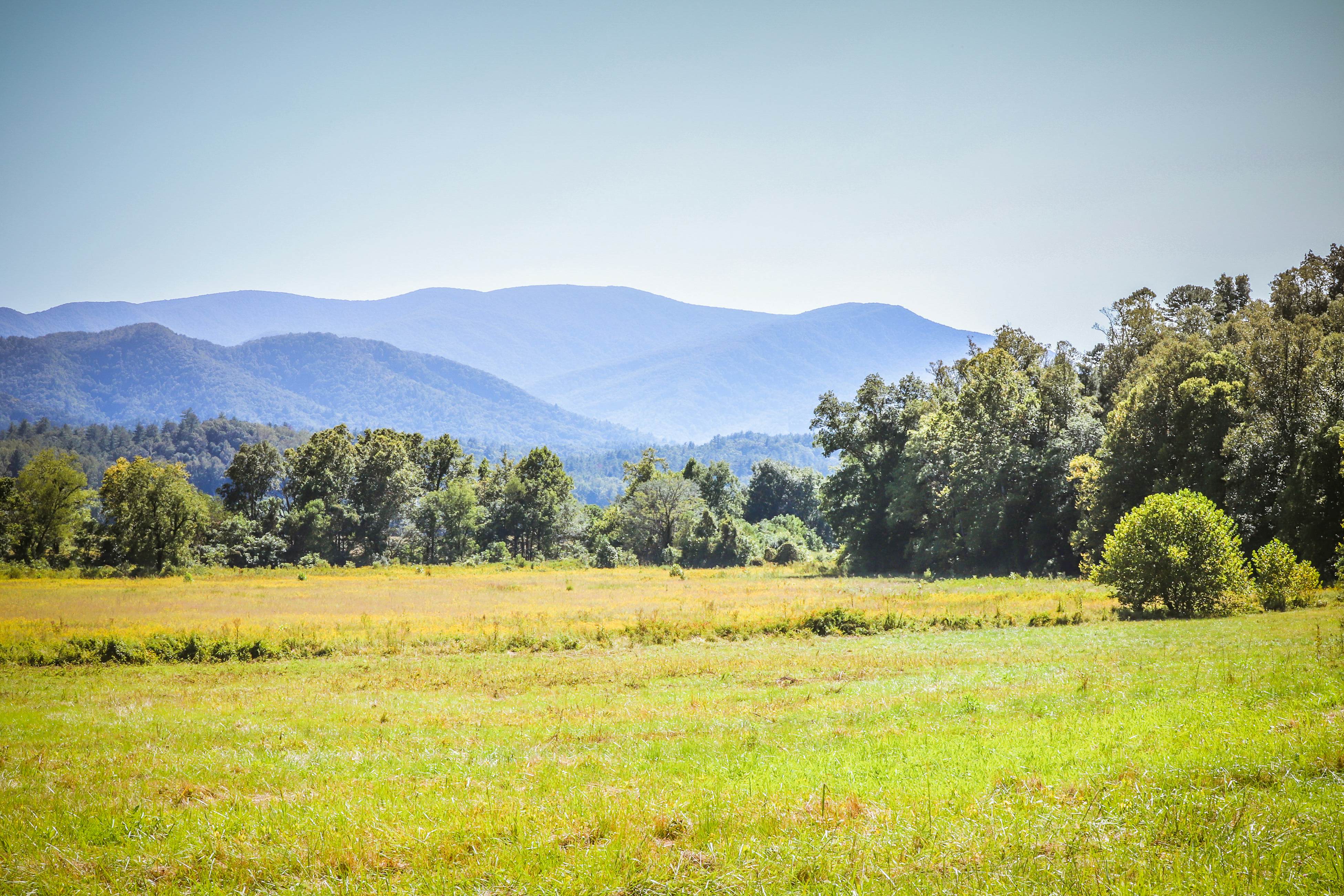 Quaint Cabin w/ Free Attraction Tickets, Hot Tub & Access to Seasonal  Pool