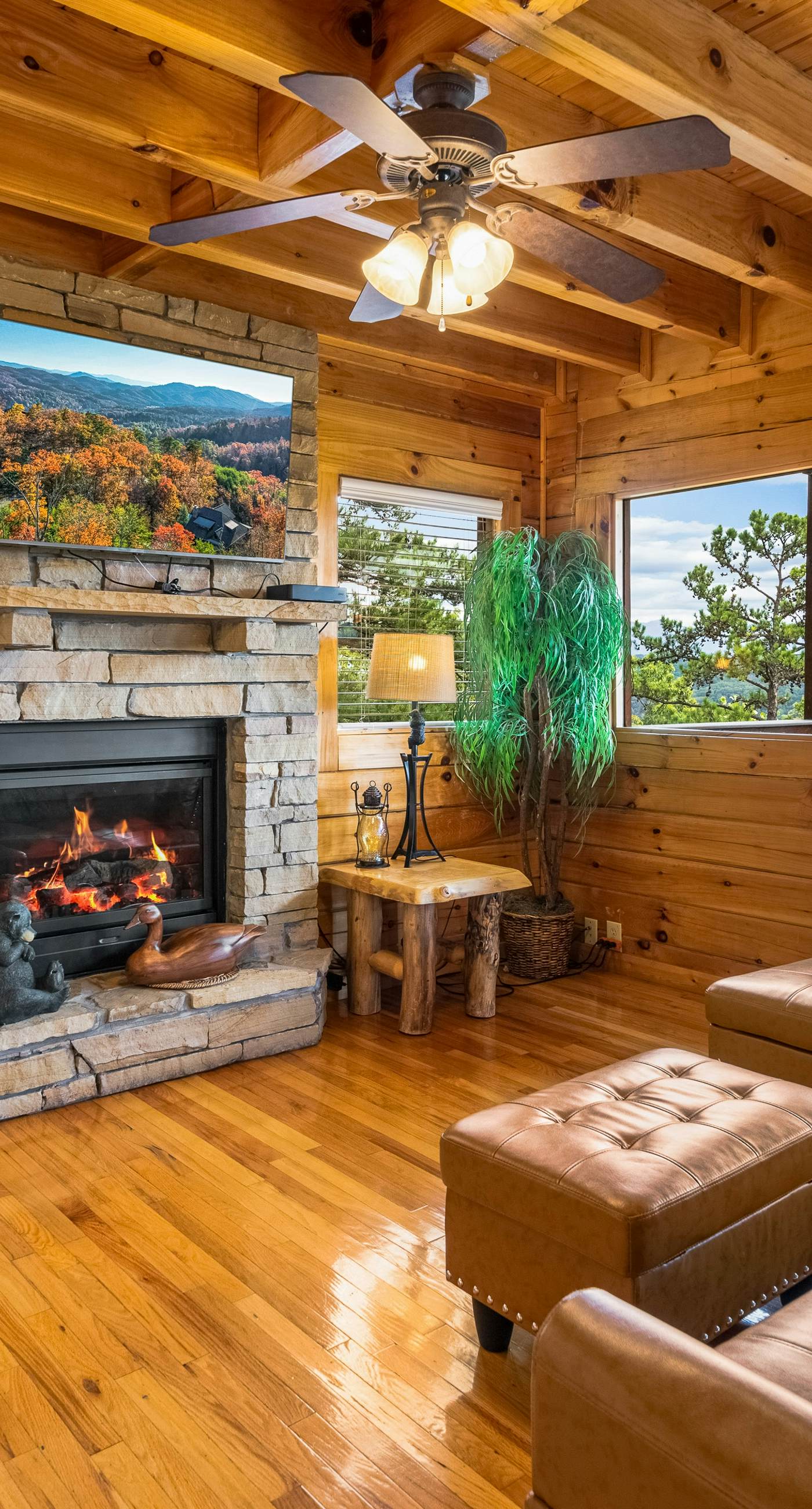 Log Cabin, Sleeps 6, Stunning Mtn View, Hot Tub, Pool