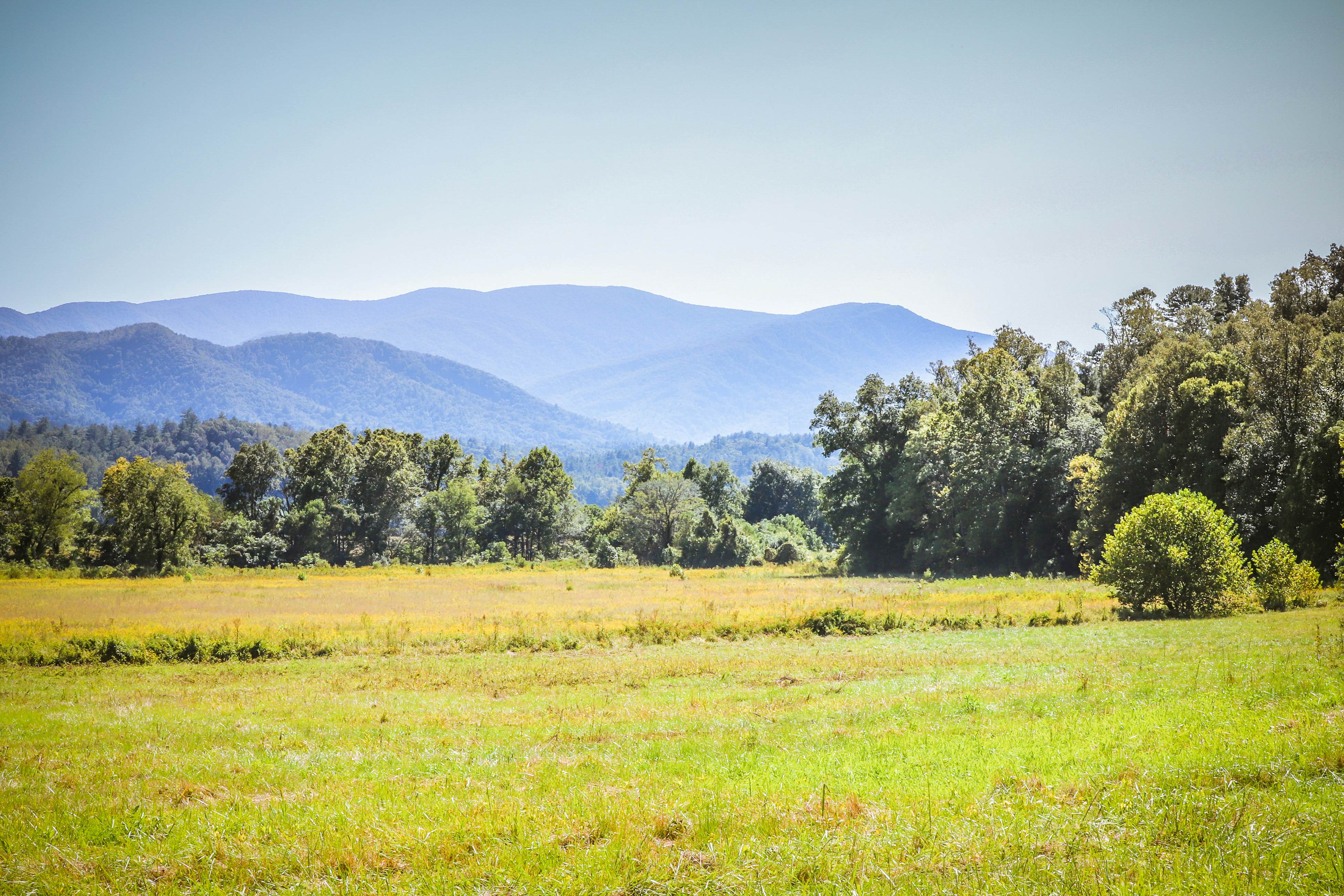 Log Cabin, Sleeps 6・Stunning Mtn View・Hot Tub・Pool
