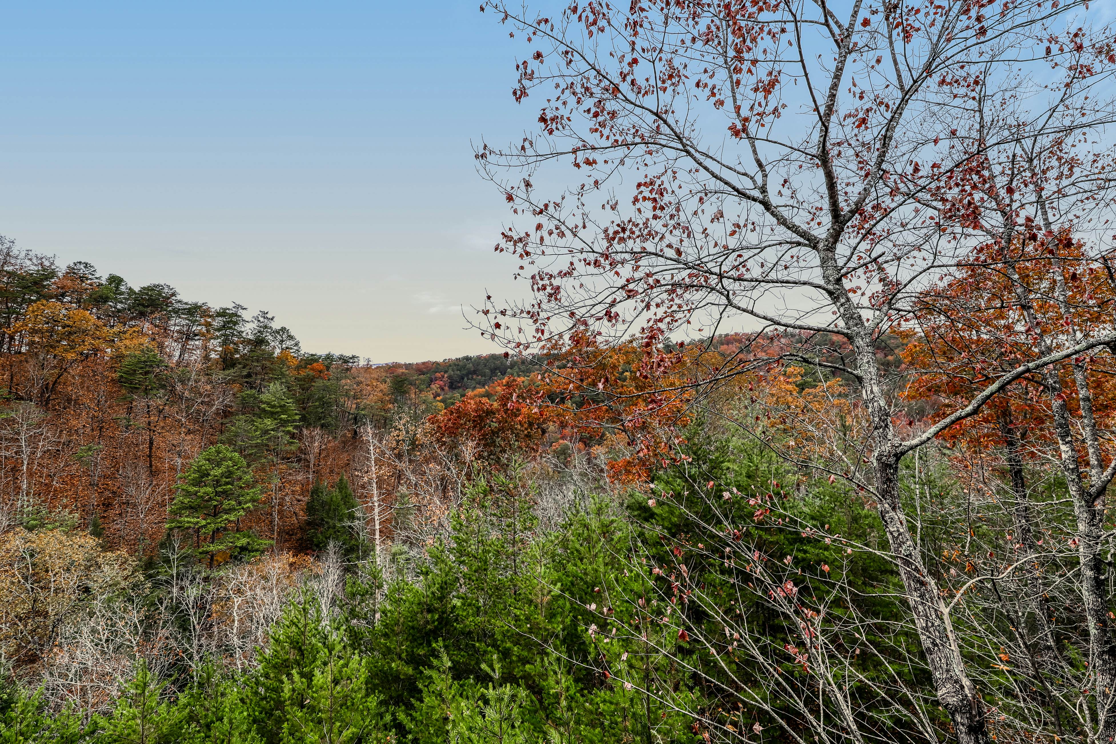 Woodland cabin Sleeps 28 w/ Free Attraction Tickets,  Hot Tub, Home Theater And Viewing decks