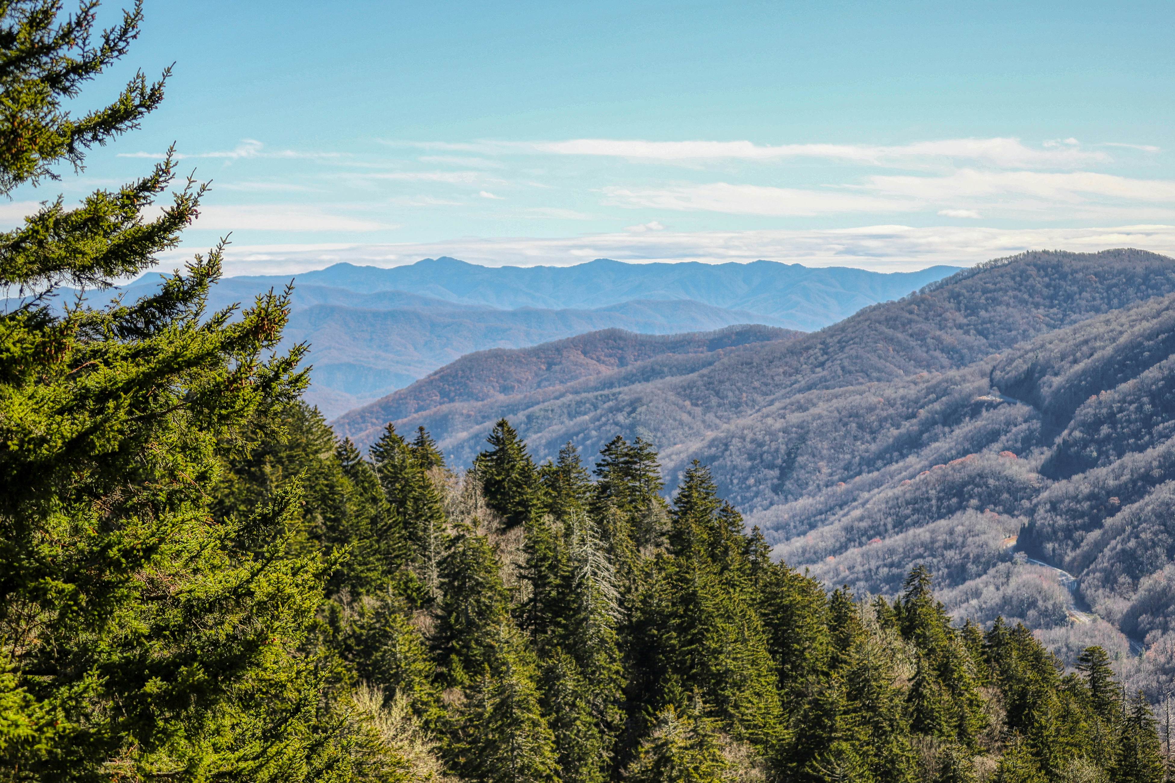 Cabin w/Pool Table, Foosball, Hot Tub & Mountain Views + Free Attraction Tickets