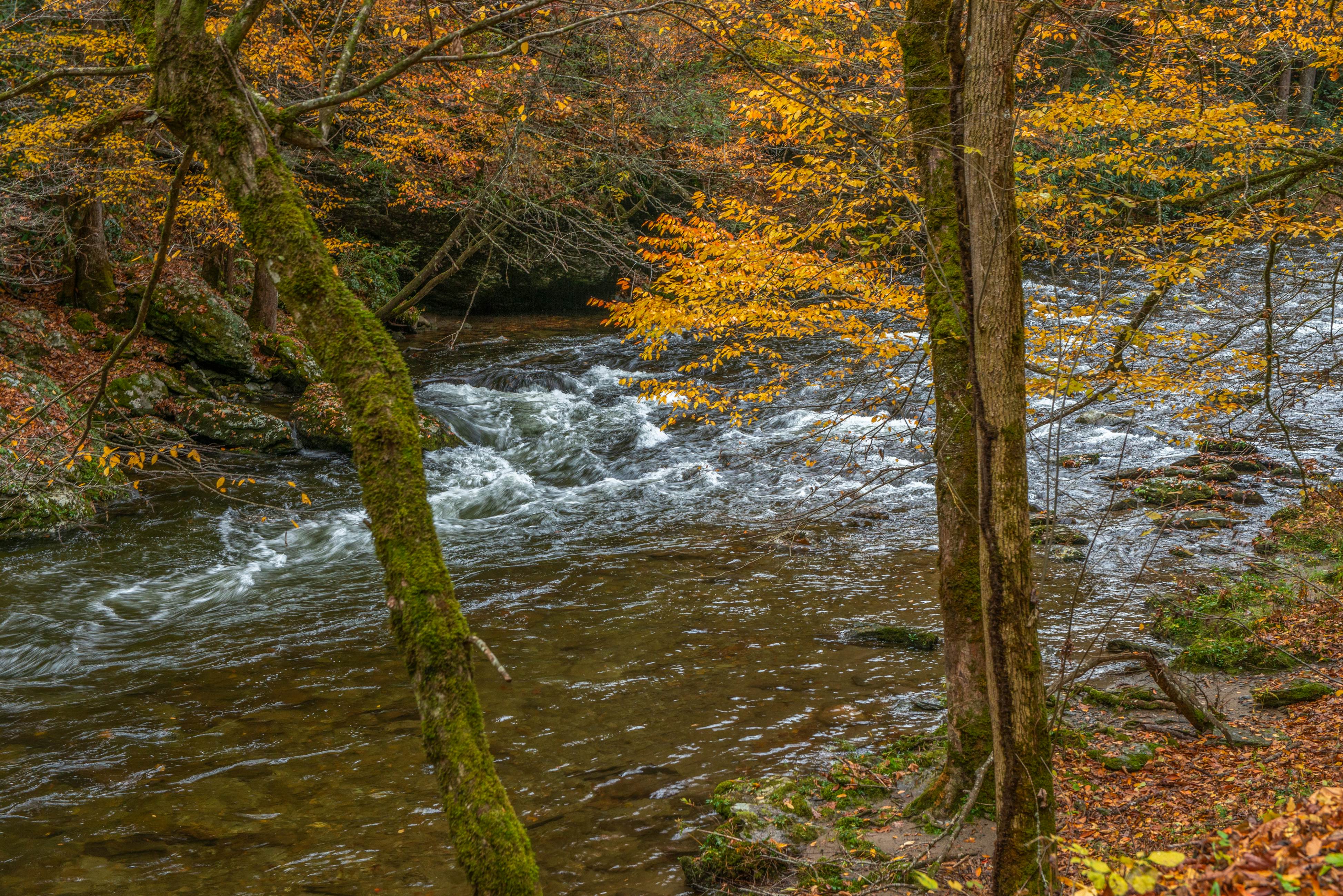 Inviting Cabin, Sleeps 4・Hot Tub・Covered Deck