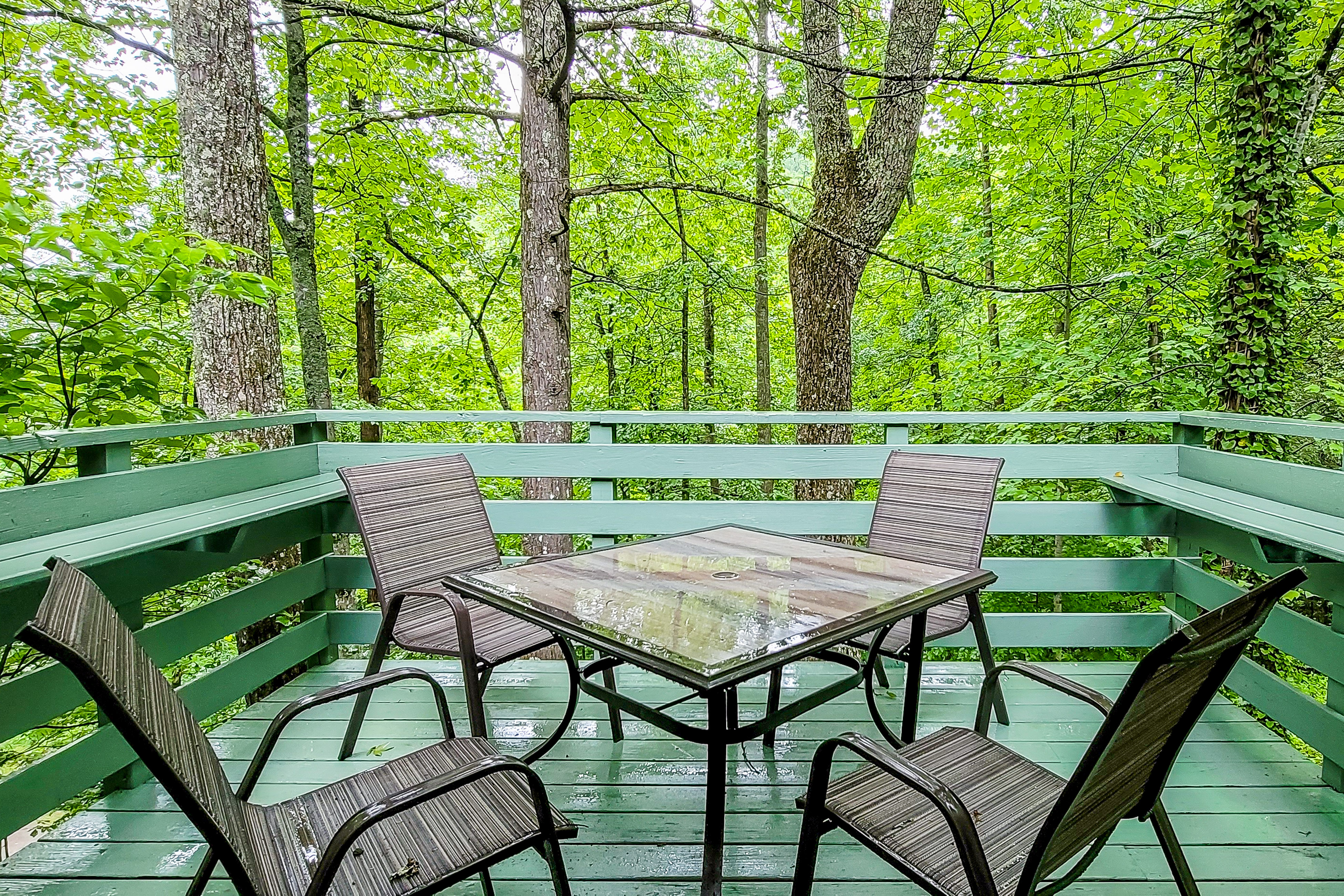 Charming Serene Mtn Hideaway, Sleeps 4・Deck