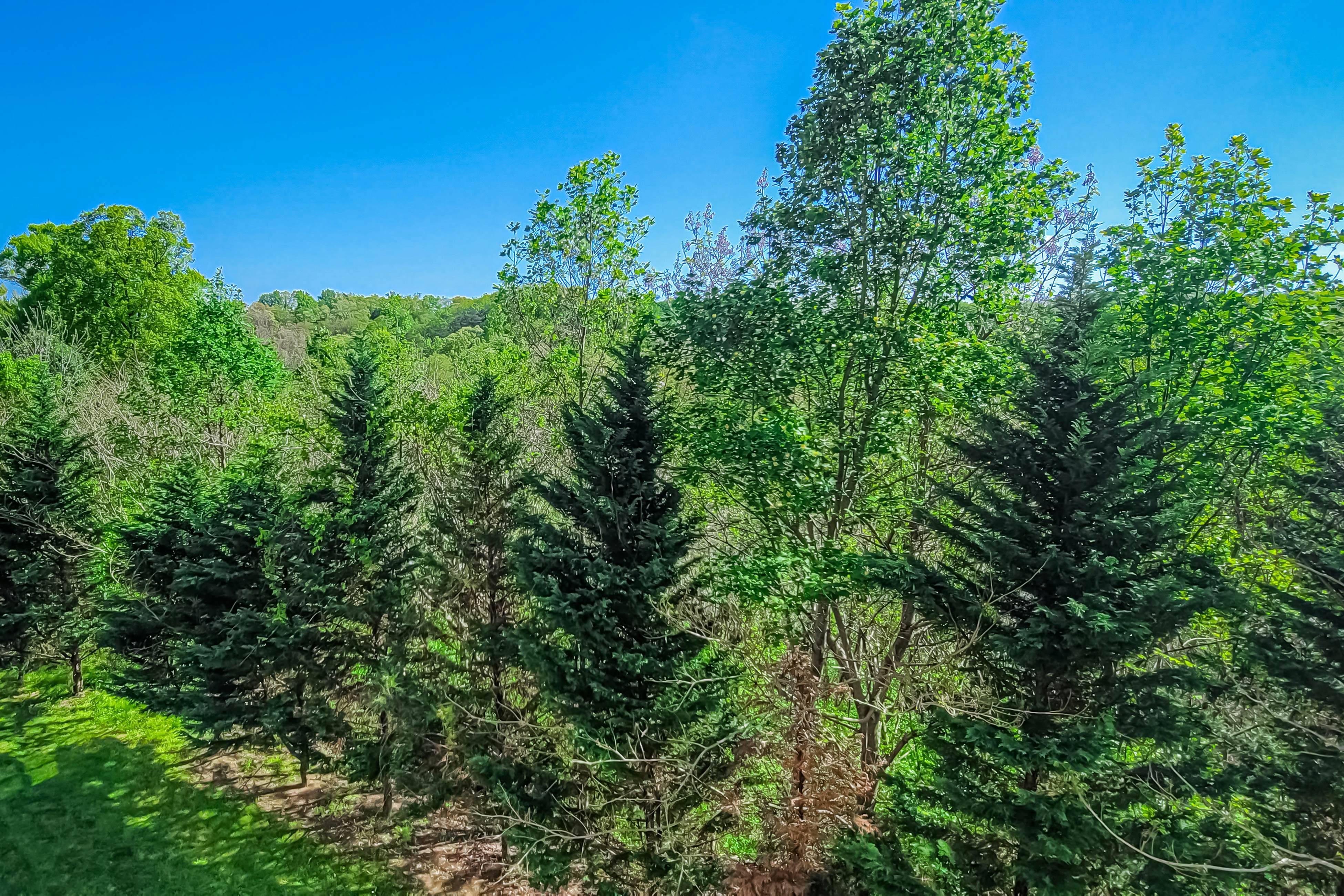 Mountain-view getaway with bunk nook, pools, Free Attraction Tickets