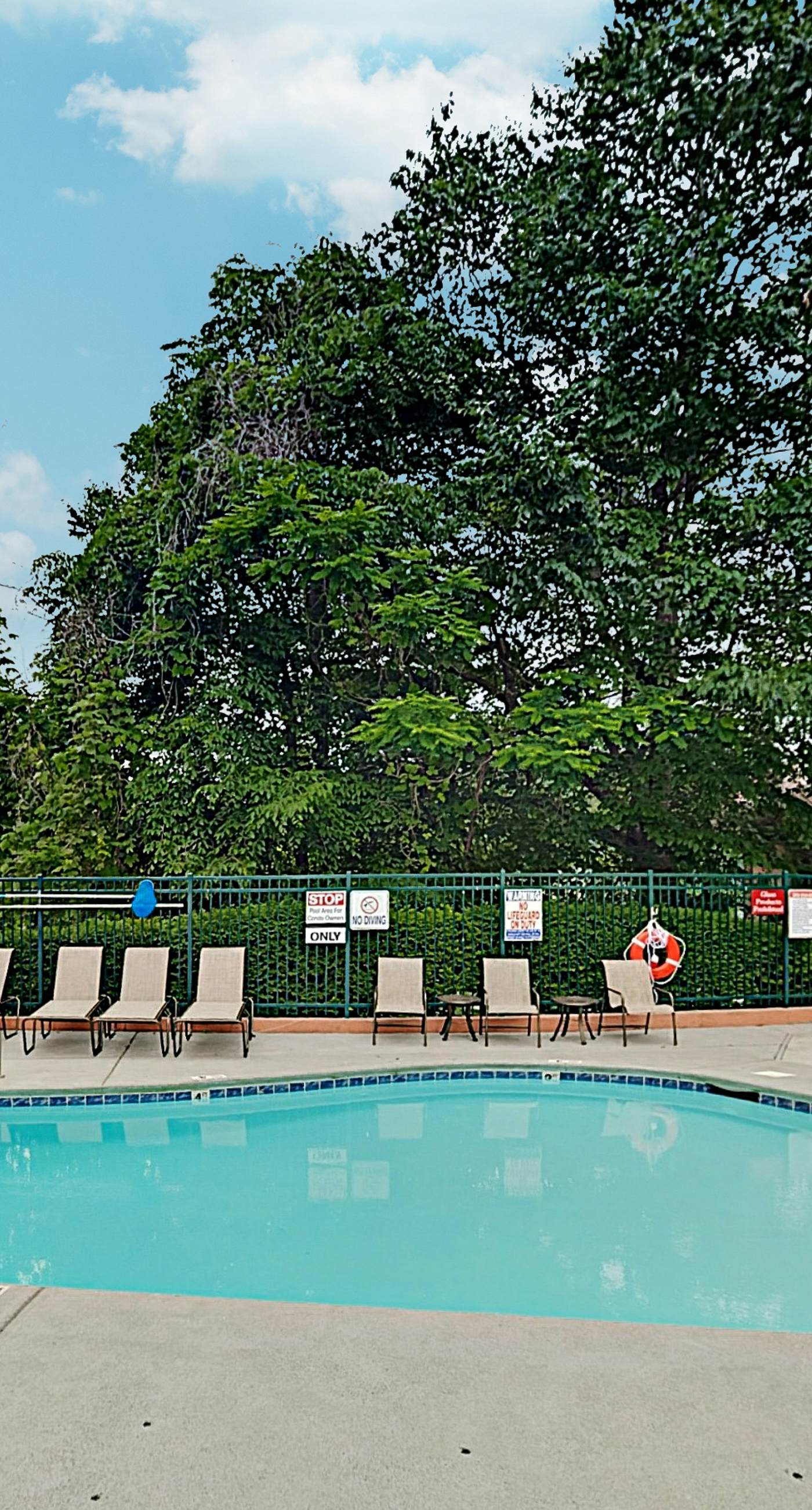 Walk to Downtown・Mtn View・Fireplace・Seasonal Pool