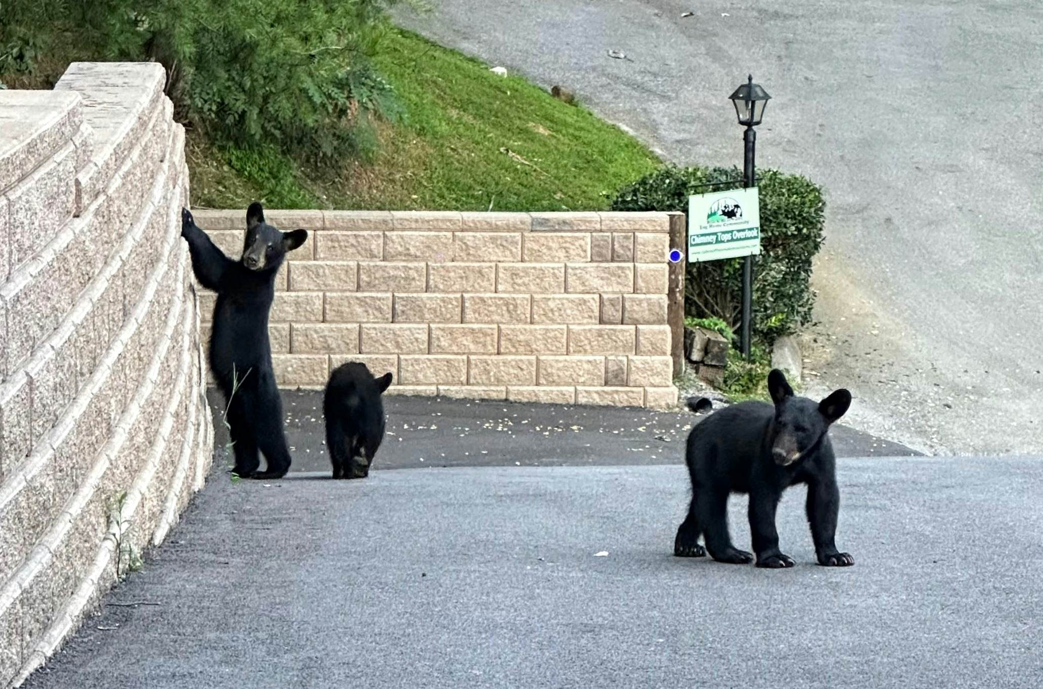 Luxury Mtn Retreat W Breathtaking Views, Sleeps 14