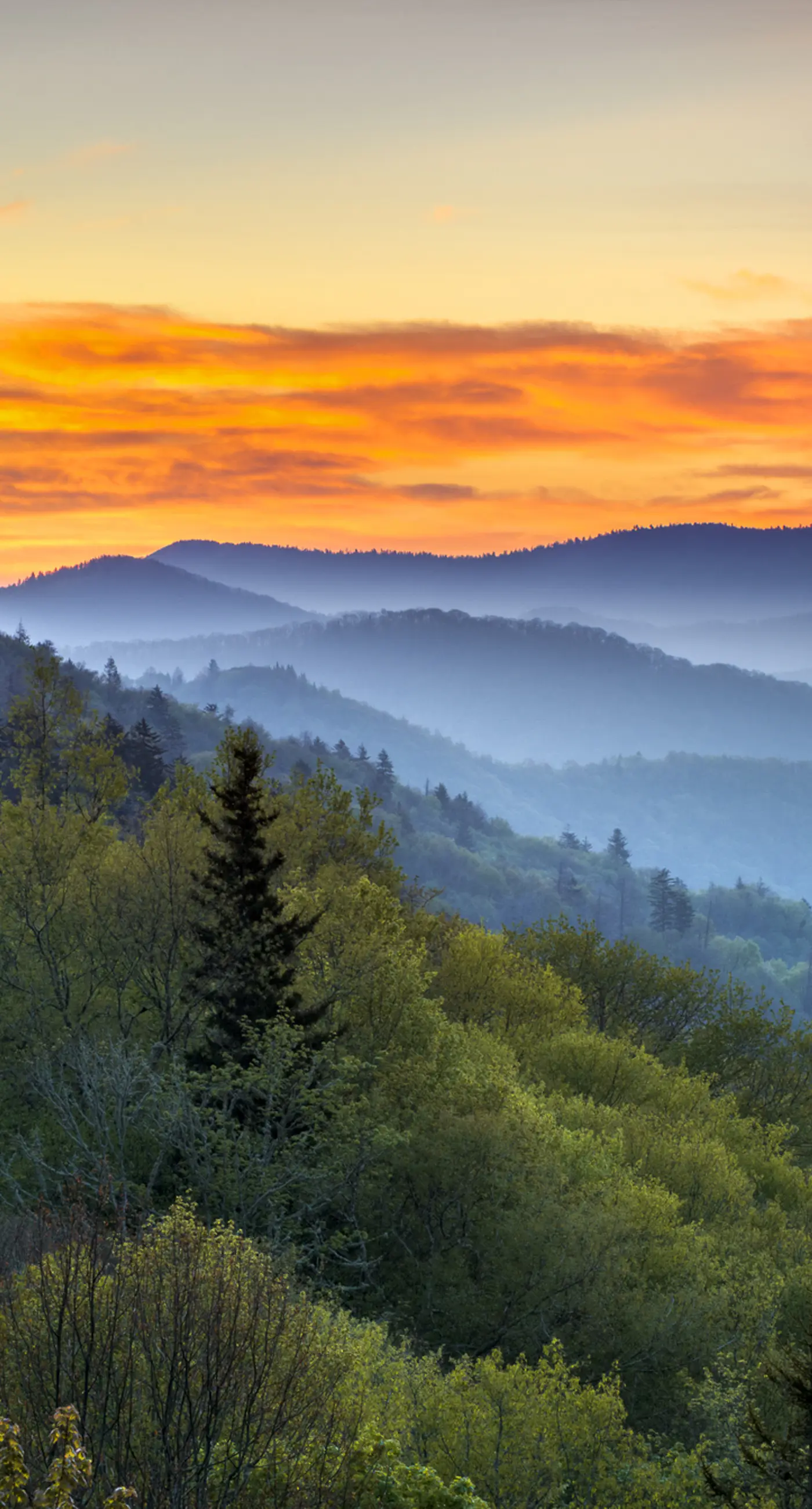 Dual-Suite Riverside Condo, Sleeps 4, Views, Pool