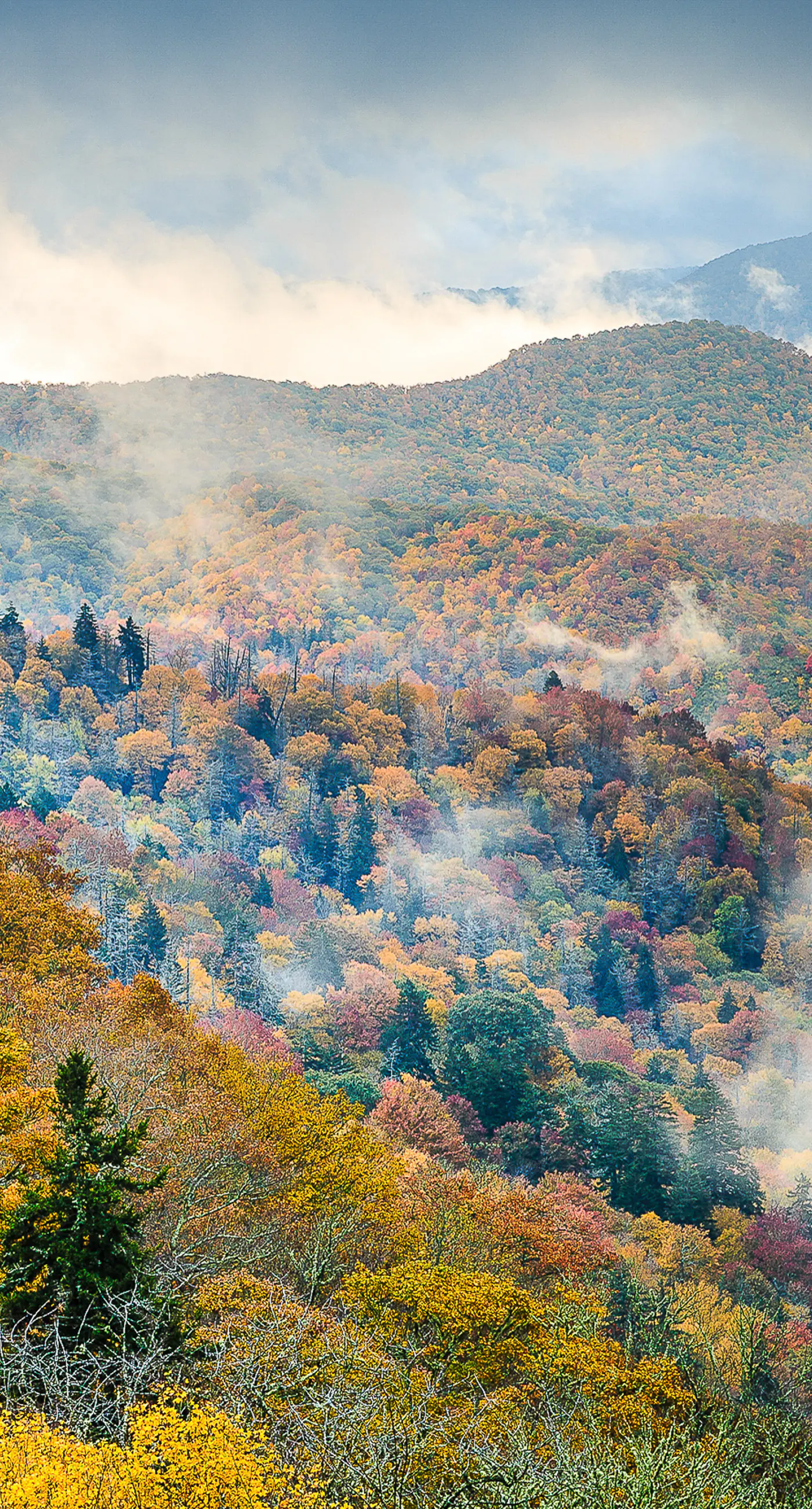 Dual-Suite Riverside Condo, Sleeps 4, Views, Pool