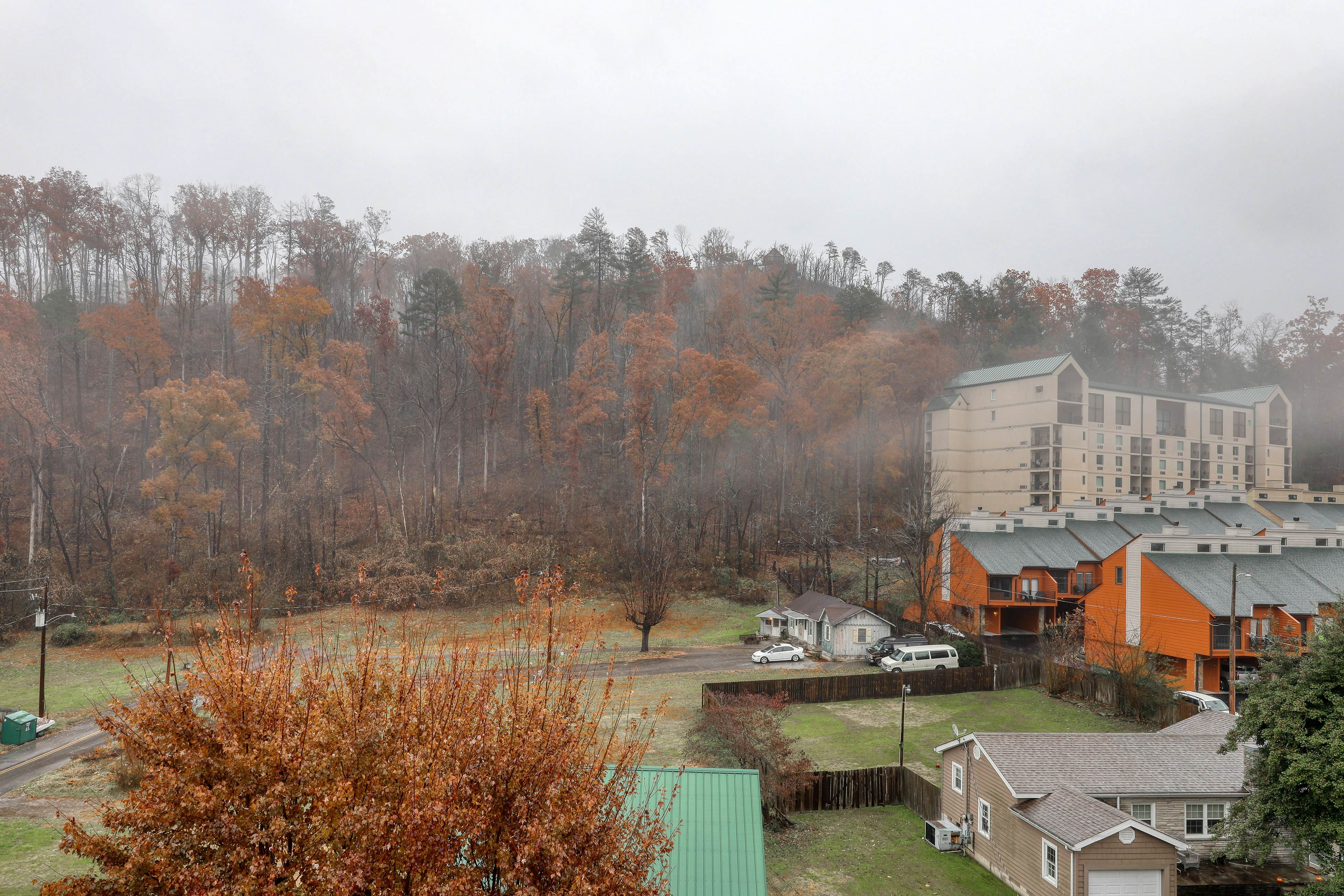 Inviting Creekside Condo, Sleeps 8・Jetted Tub・Gym
