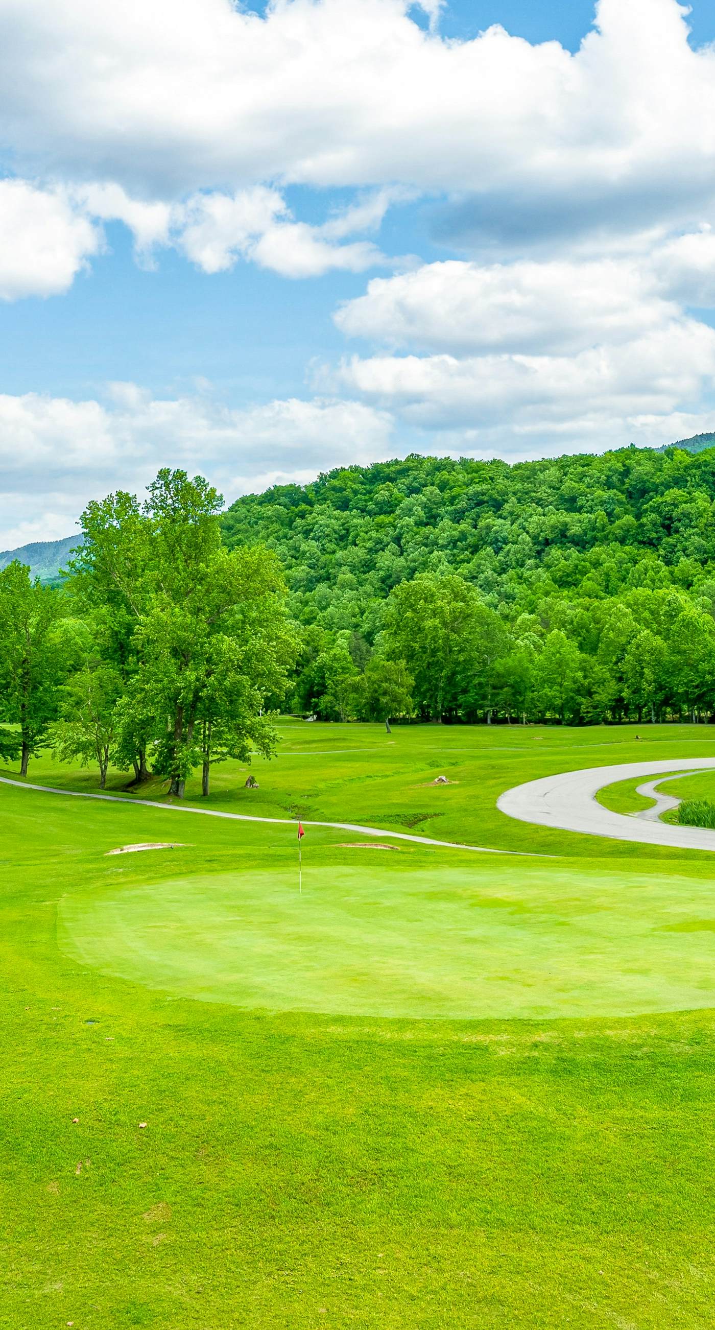 Newly Built Home, Sleeps 12, Views, Hot Tub, Theater