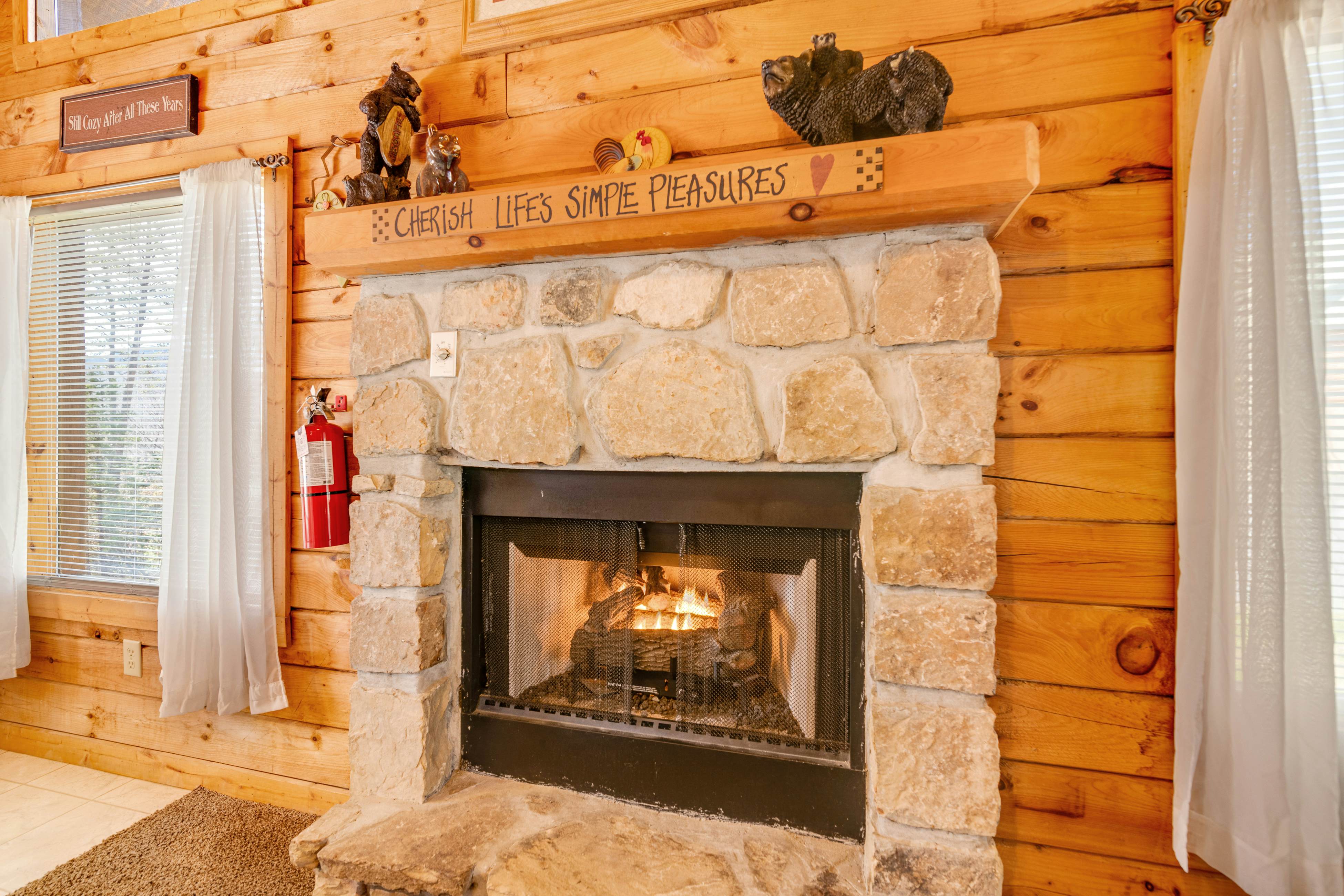 Dog-Friendly Cabin w/ Private Hot Tub & Free Attraction Tickets - Great Location