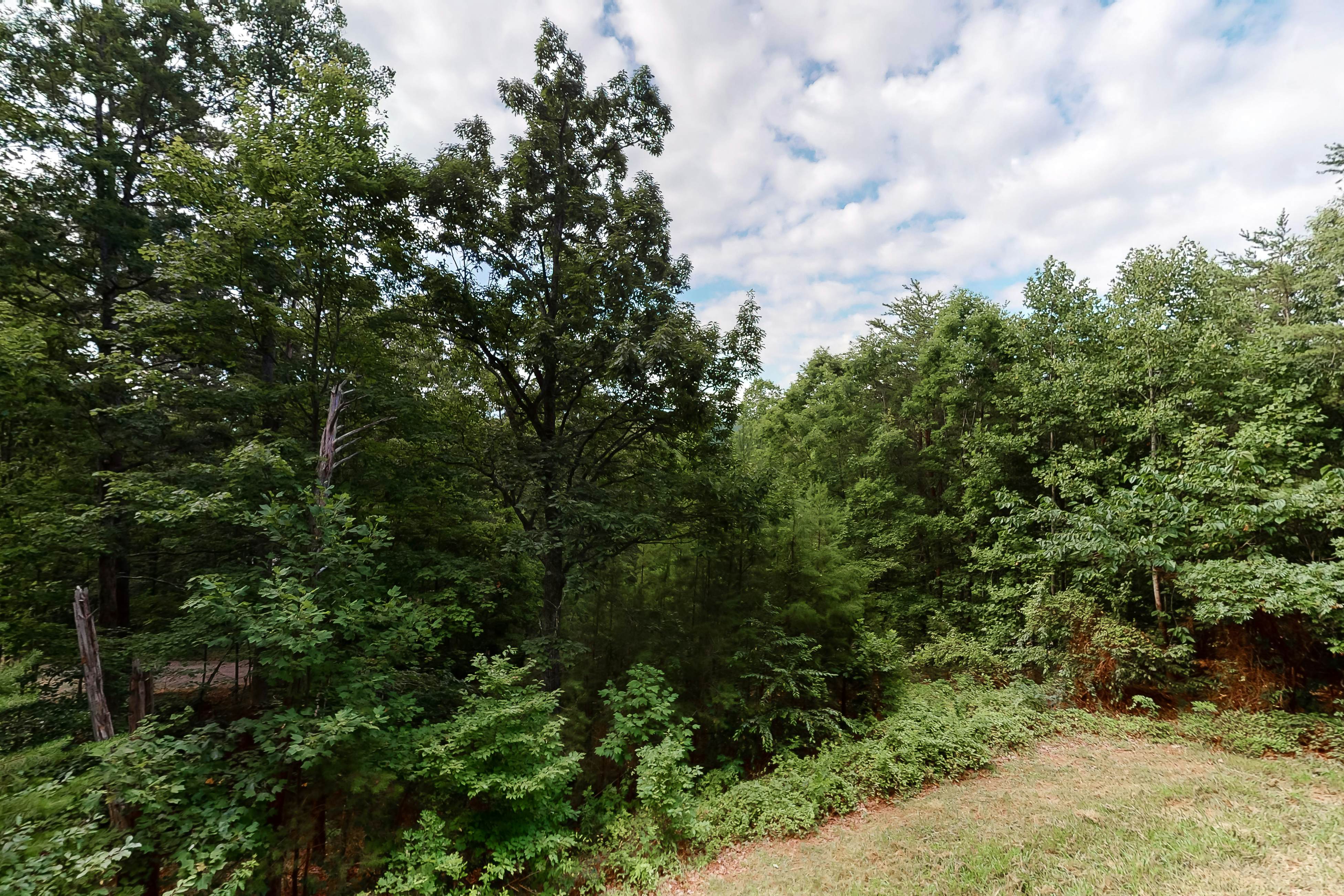 Vibrant cabin w/ game room, hot tub, & home theater + free attraction tickets