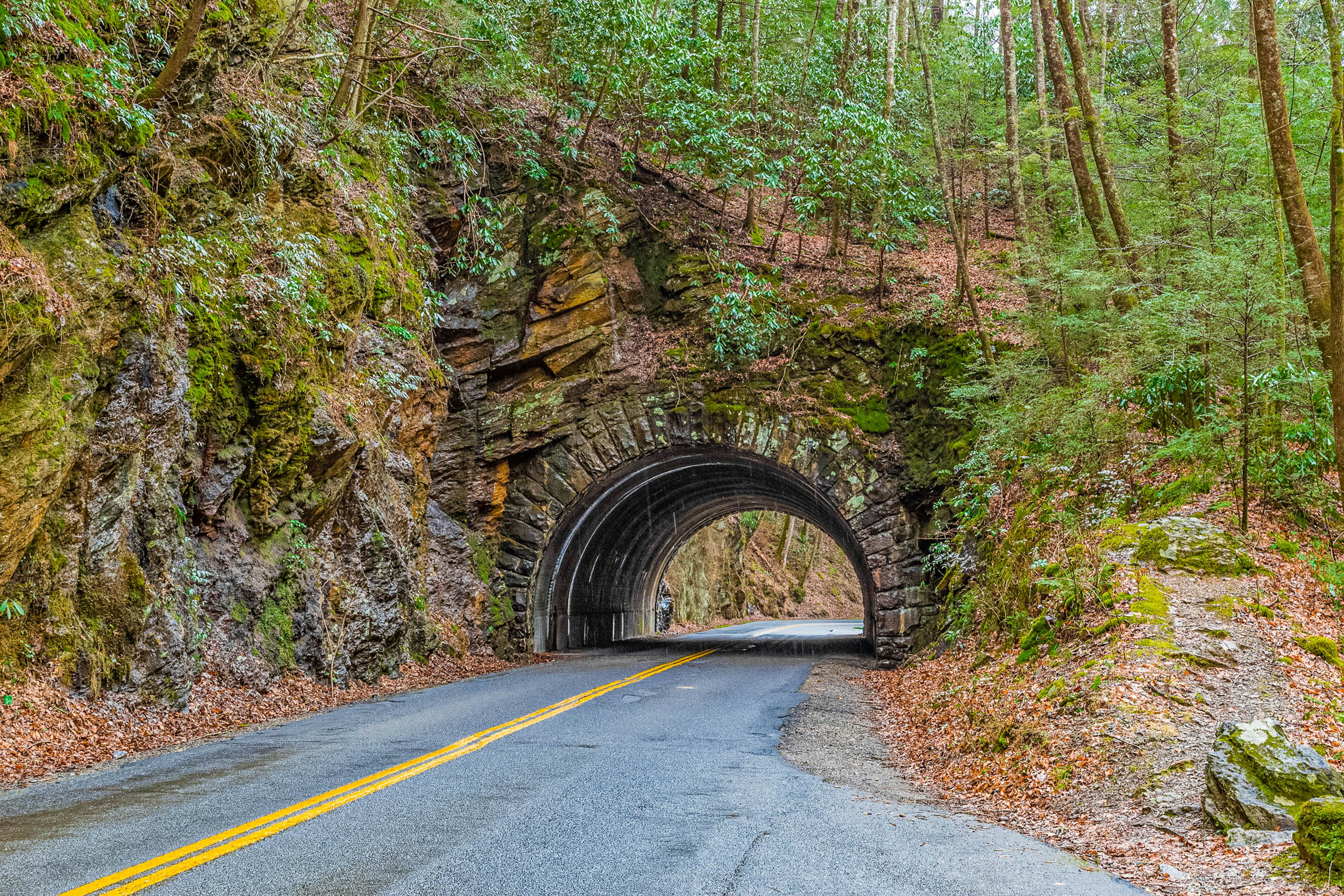 Family Friendly Cabin, Sleeps 8, Pool Table, Hot Tub