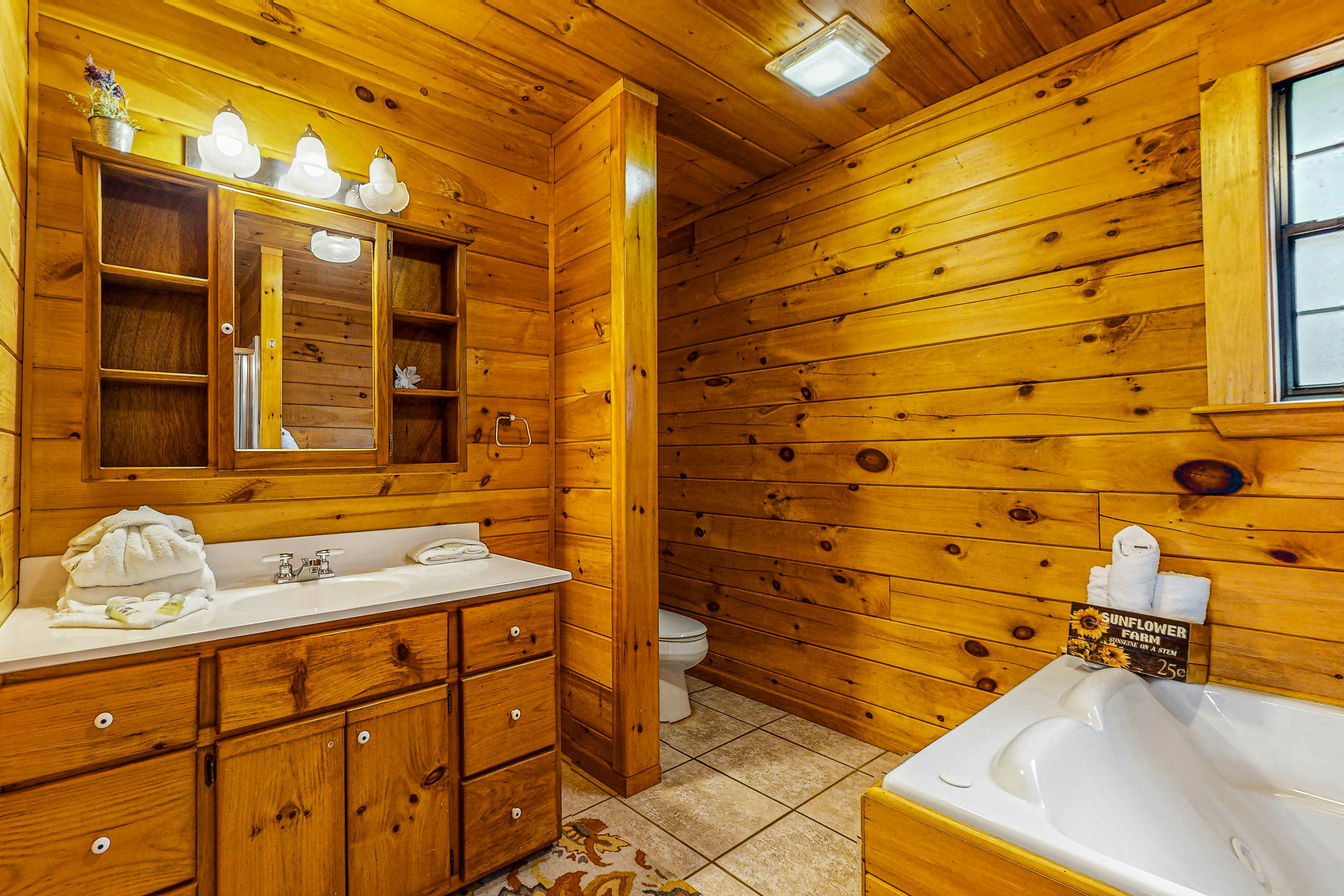 Mtn view home w/ hot tub, playhouse, game room, & gym + free attraction tickets